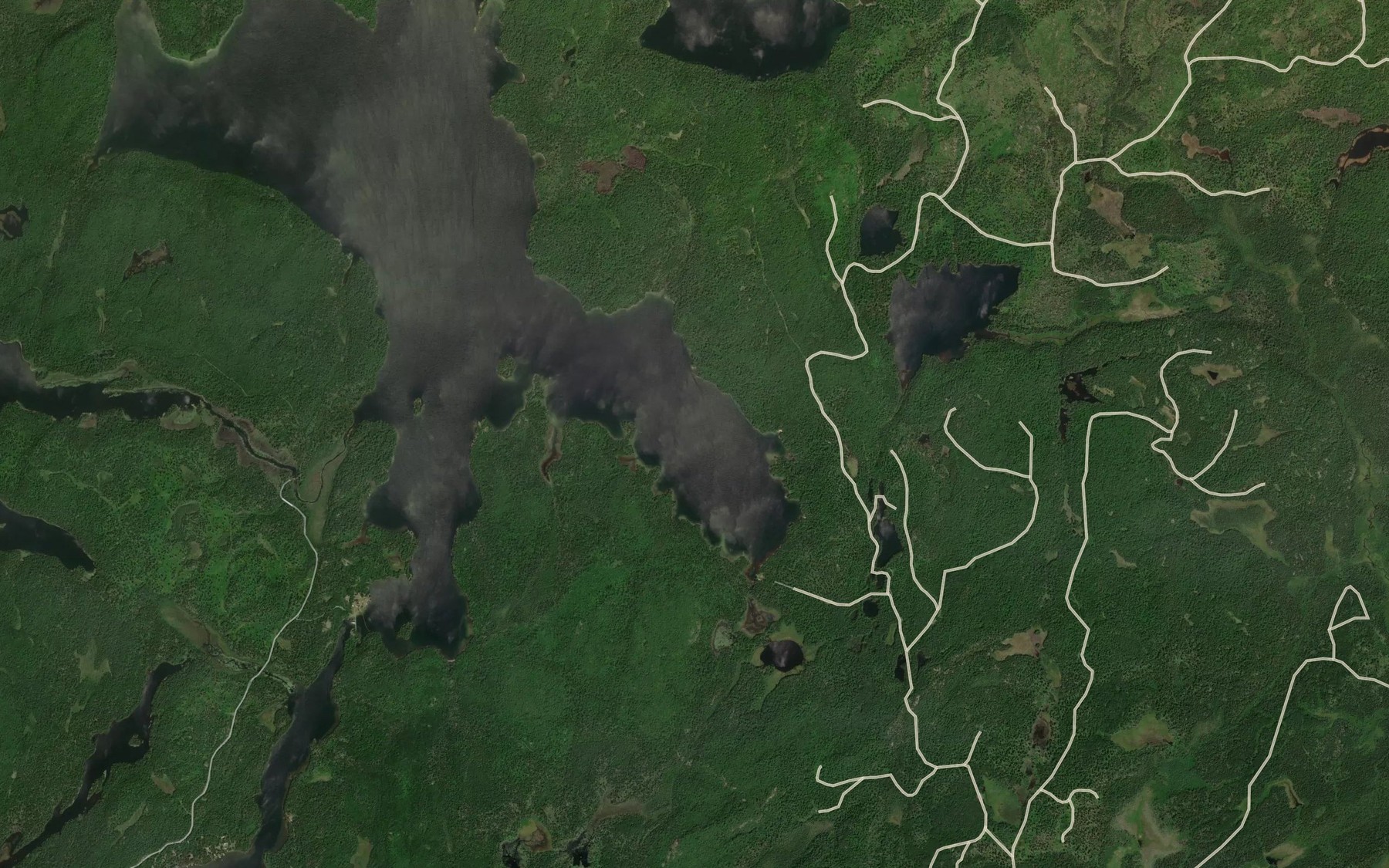 Satellite map of the East Bay