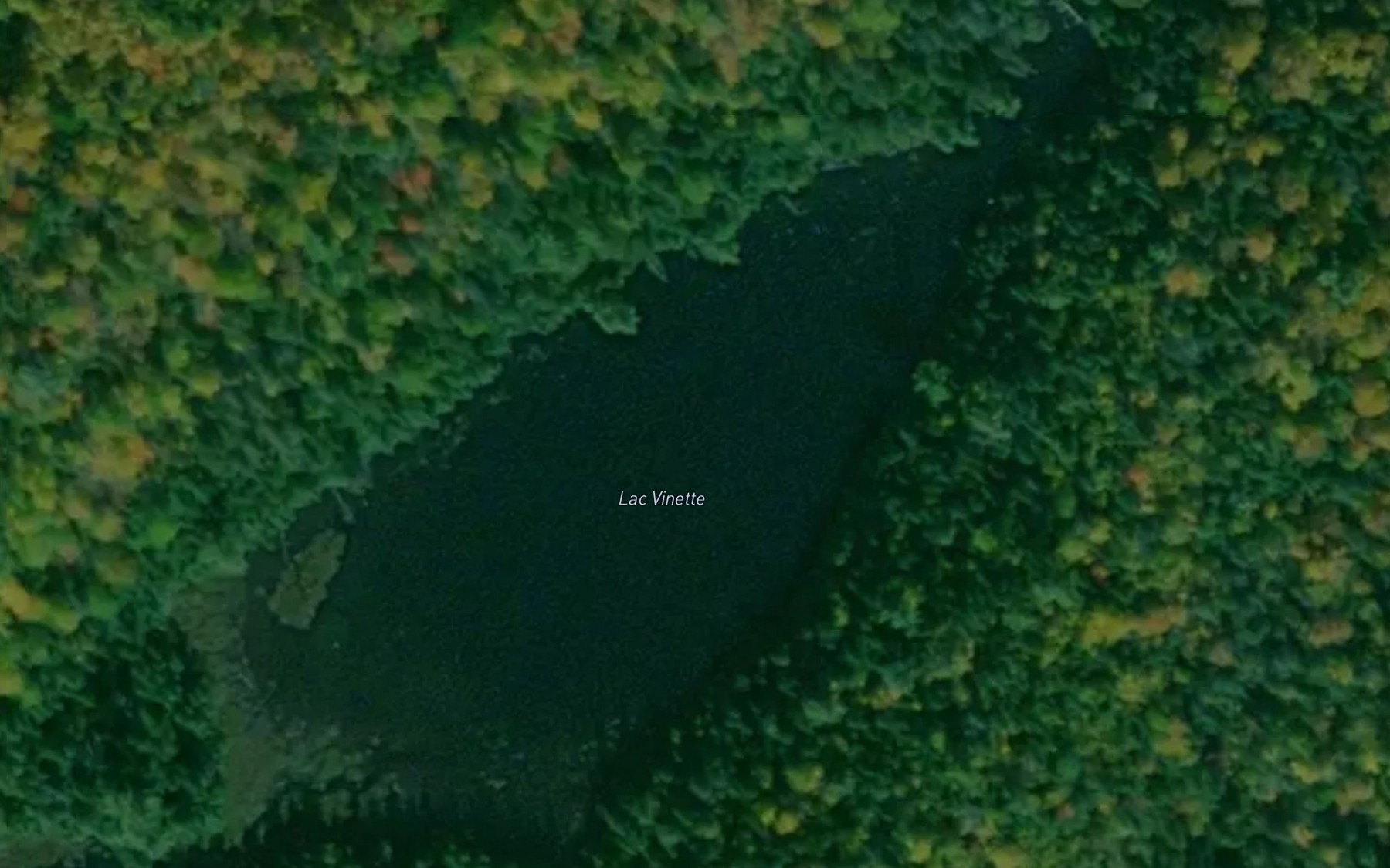 Satellite map of the Lac Vinette