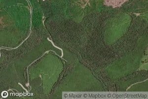 Bear Run