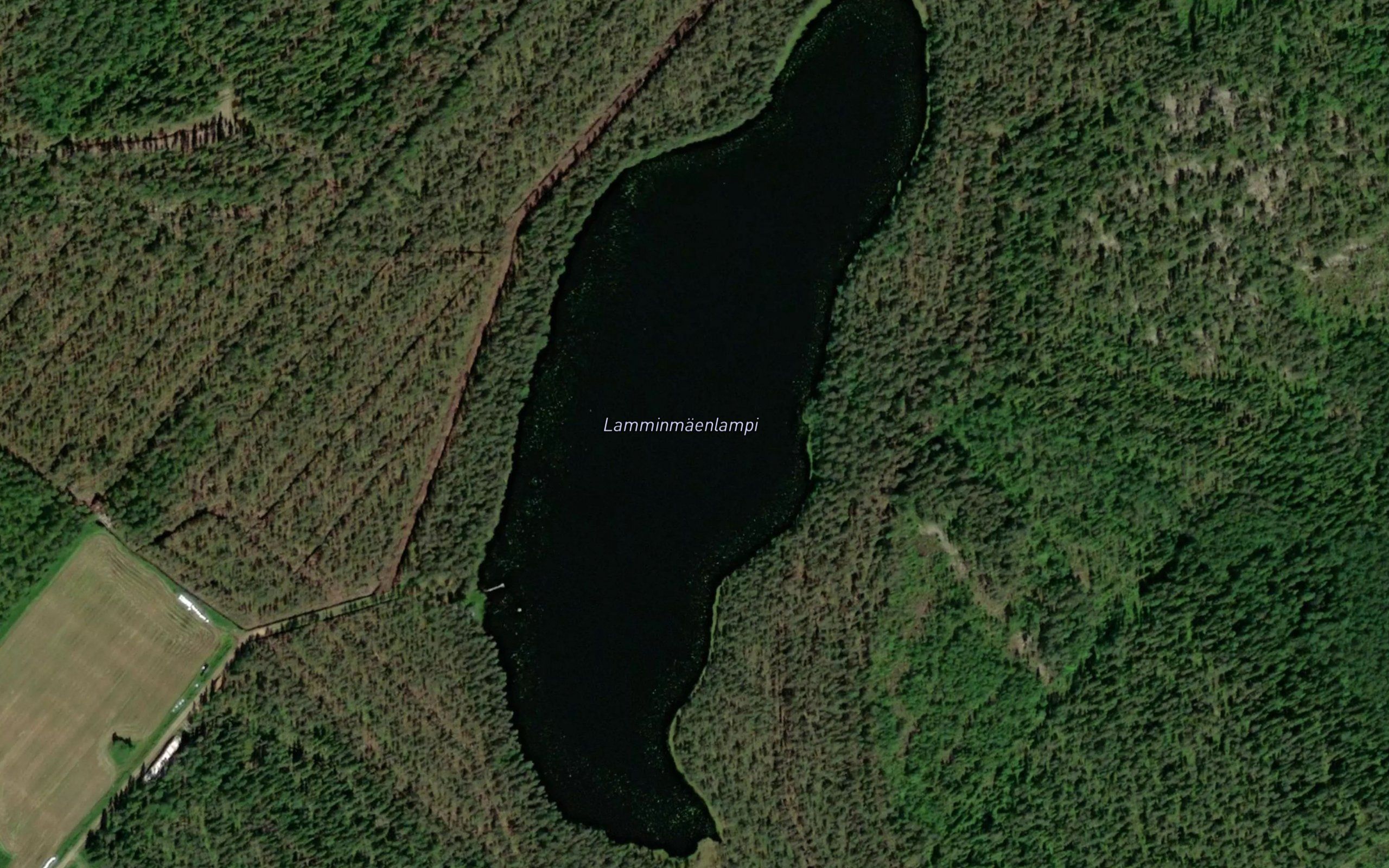 Lamminmaenlampi