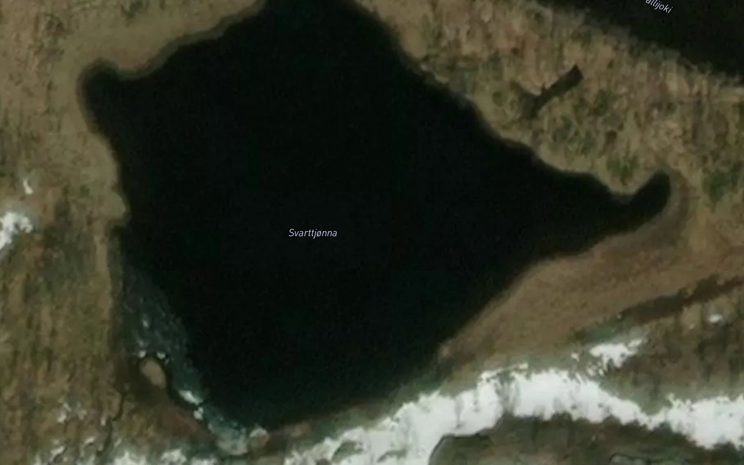 Svarttjonna