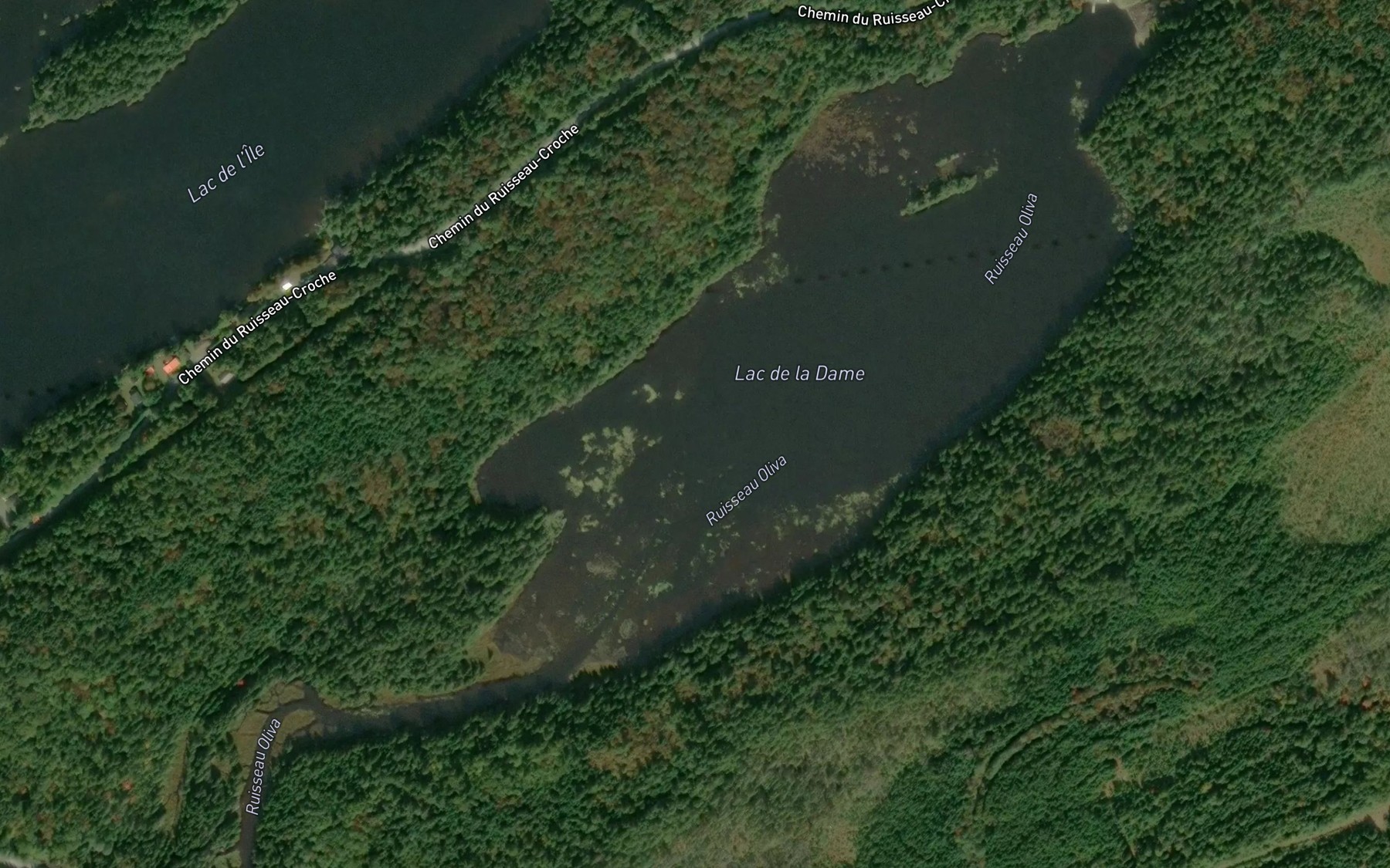Satellite map of the Lac de la Dame