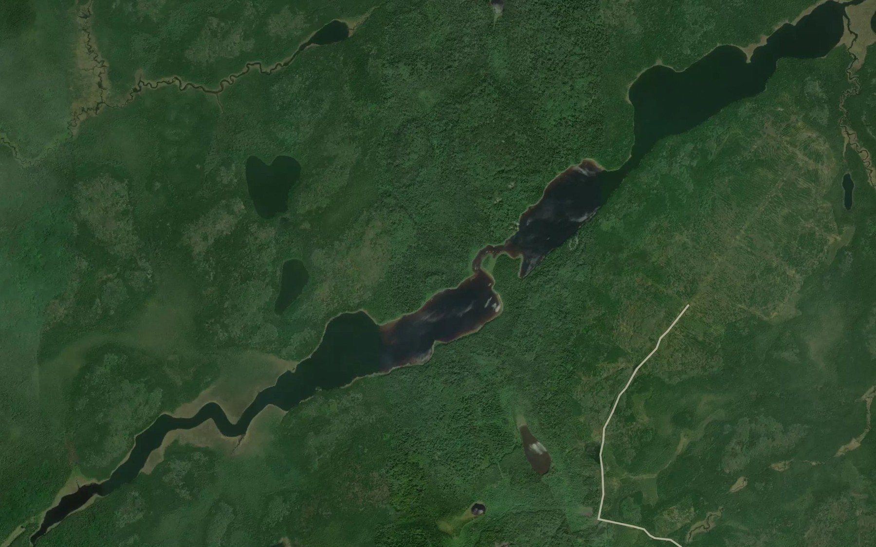 Satellite map of the Pichogen Lake