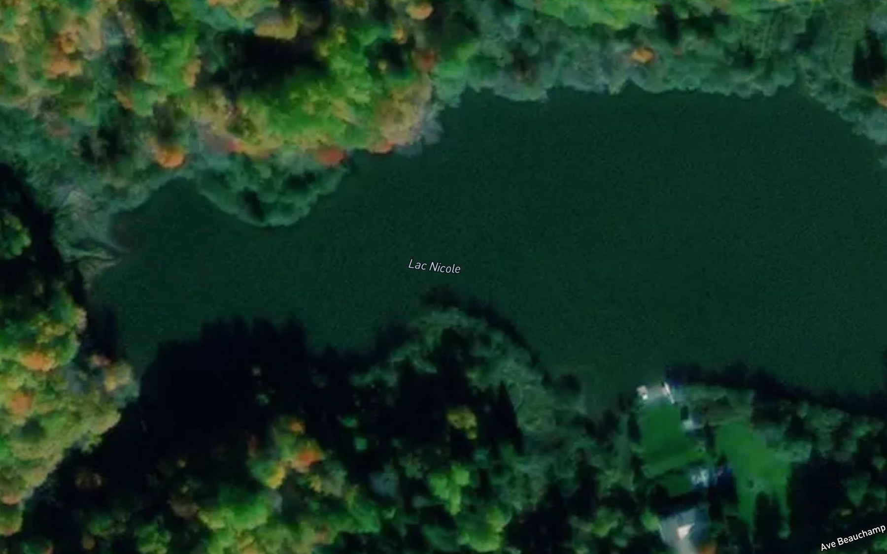 Satellite map of the Lac Nicole
