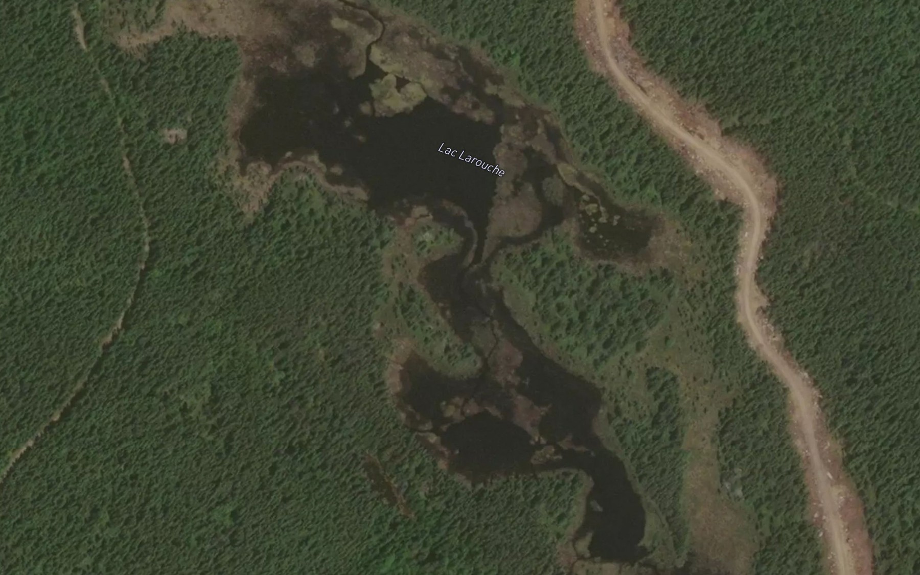 Satellite map of the Lac Larouche