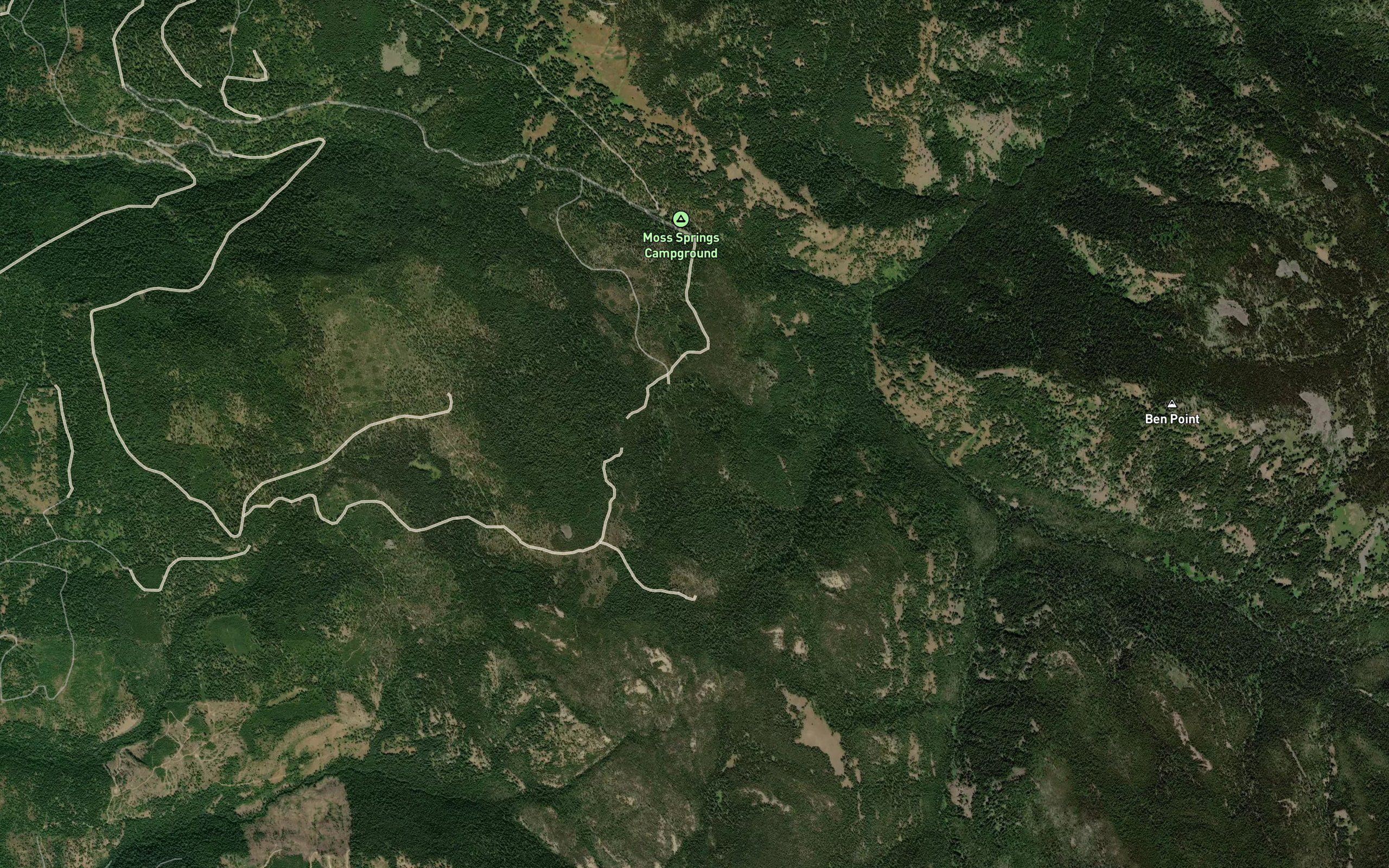 Lodgepole Spring