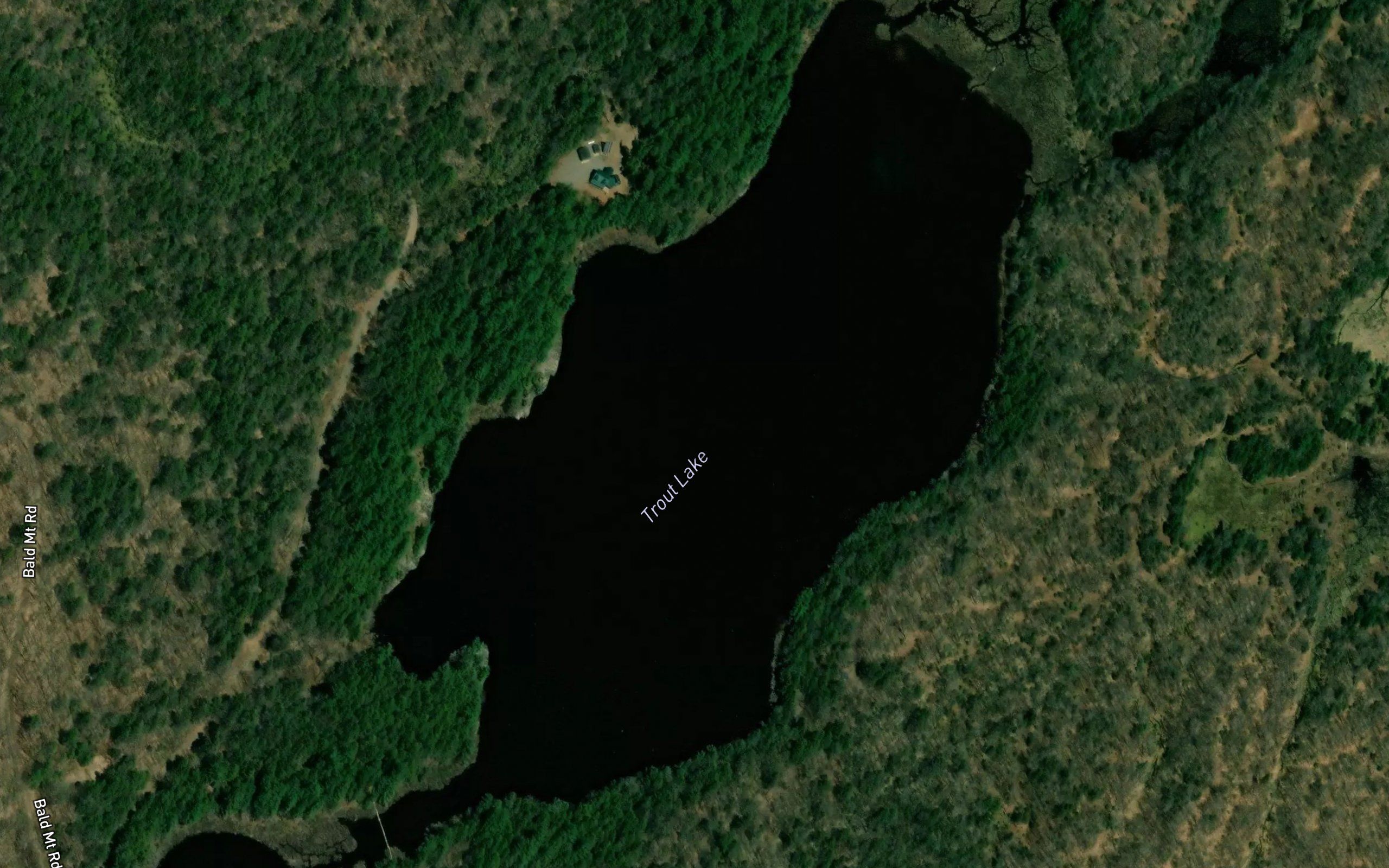 Trout Lake