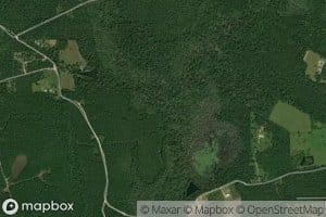 East Branch White Oak Creek