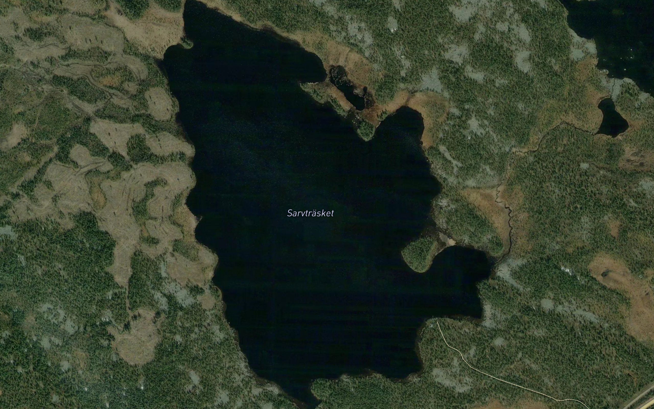 Sarvtrasket