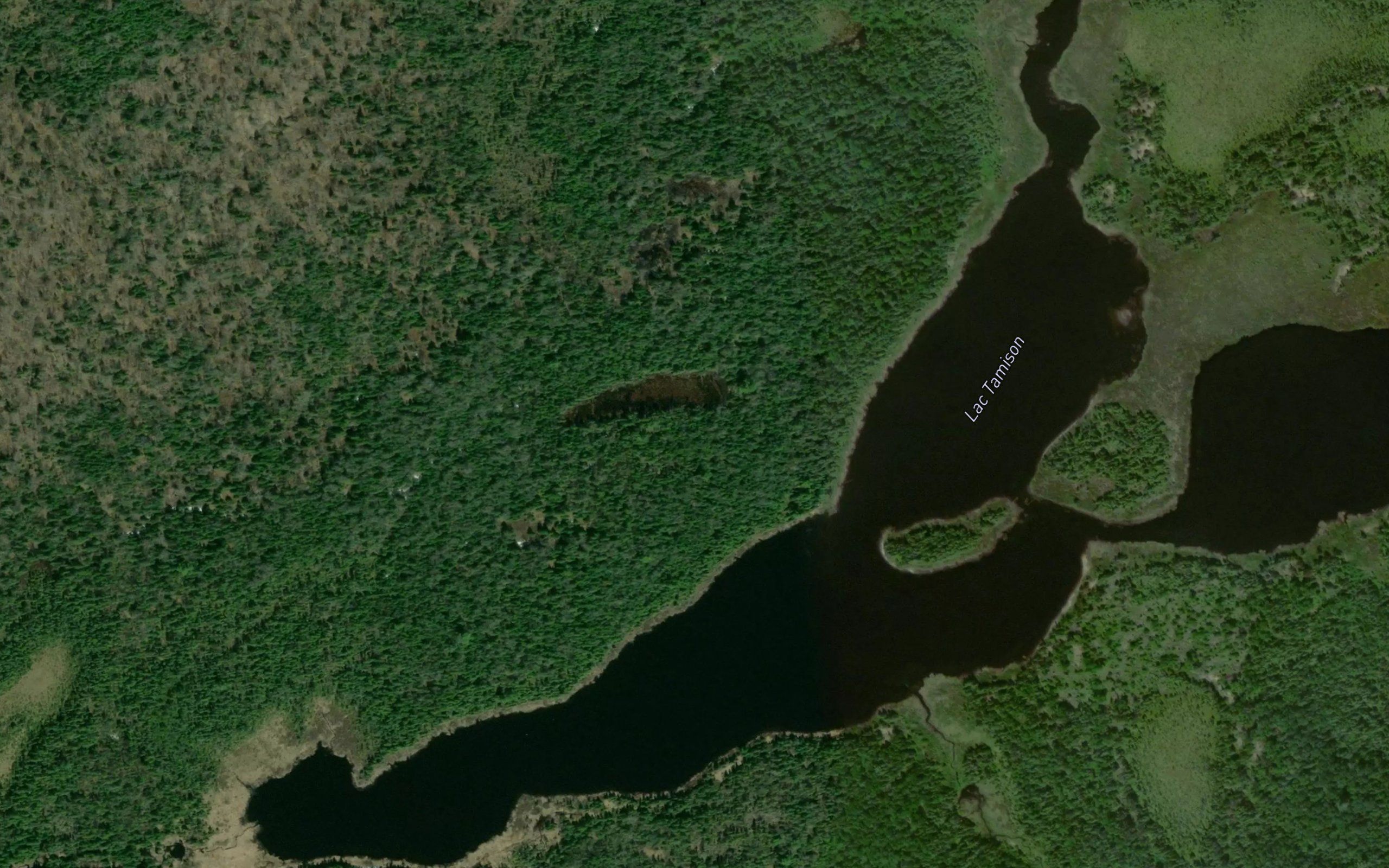 Lac Tamison