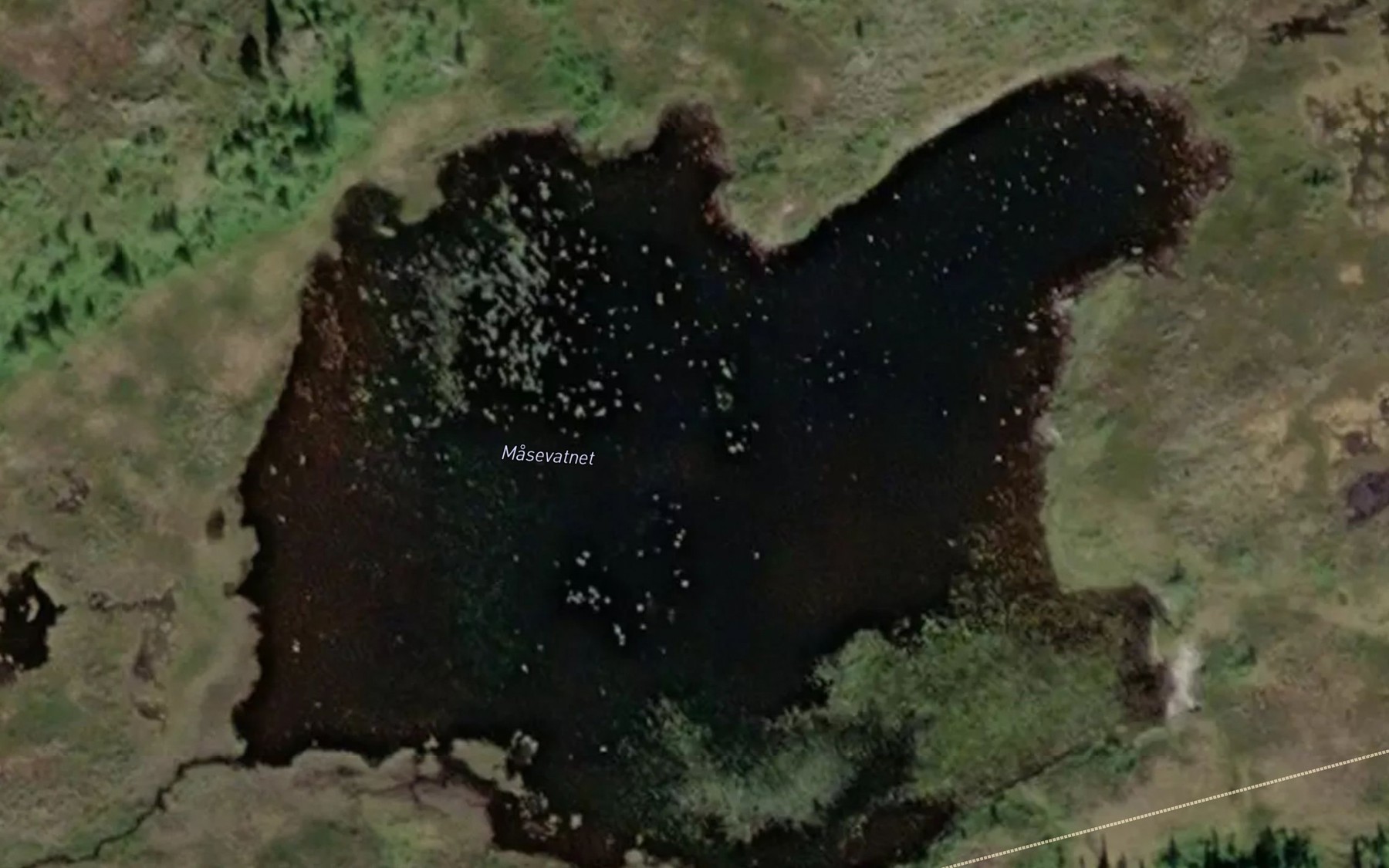 Satellite map of the Kimotjonna