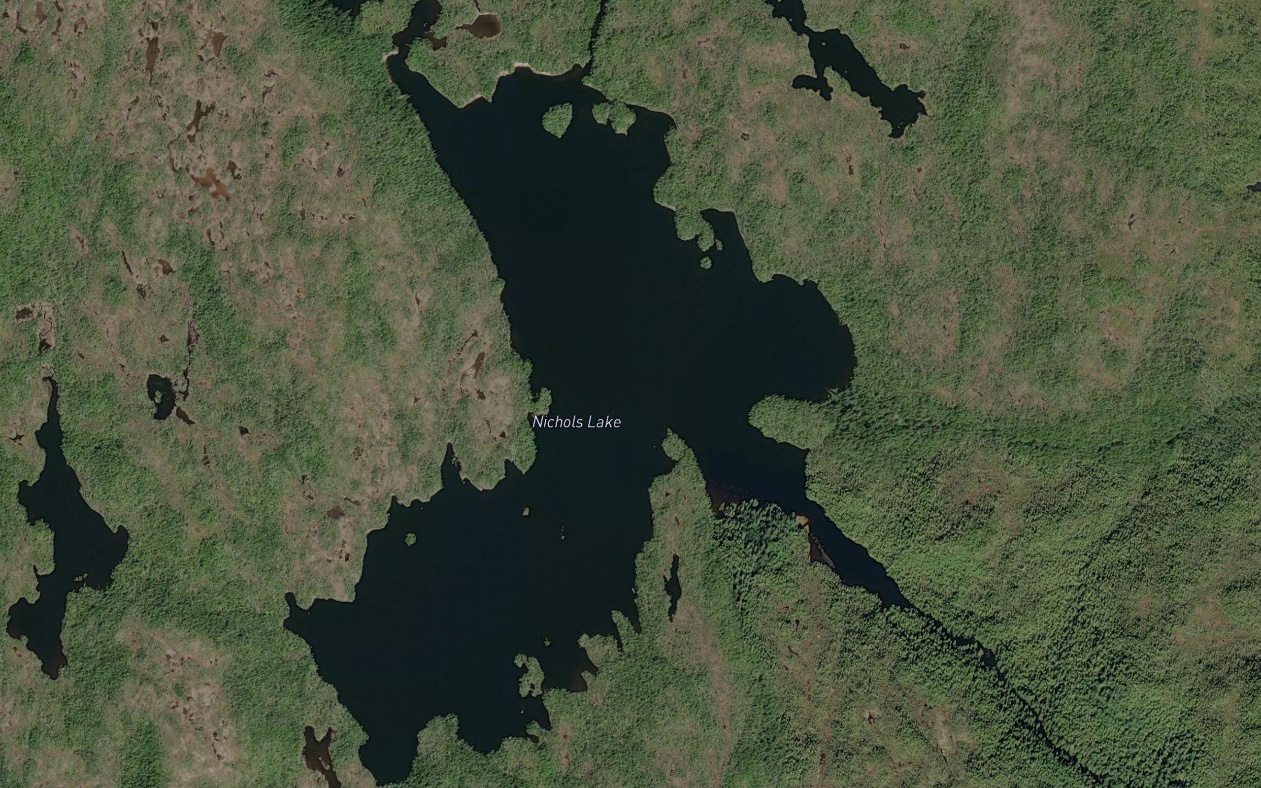 Nichols Lake