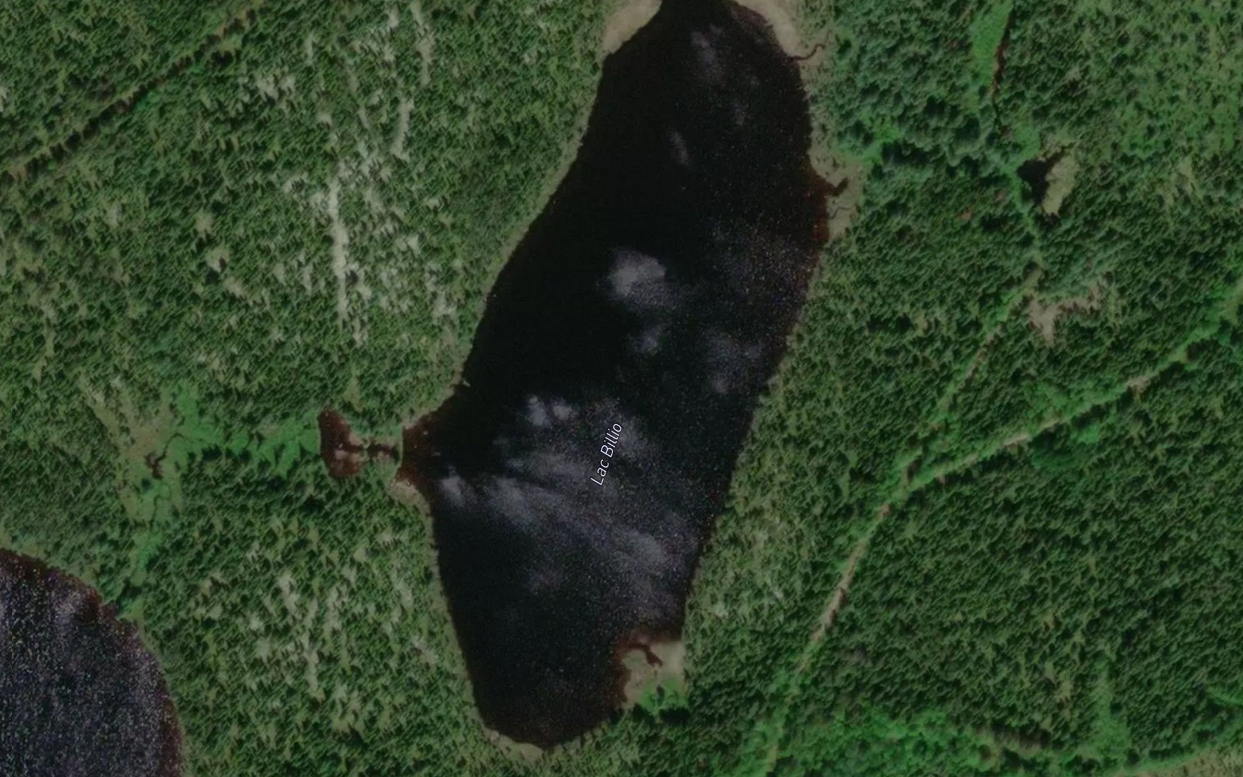 Satellite map of the Lac Billio
