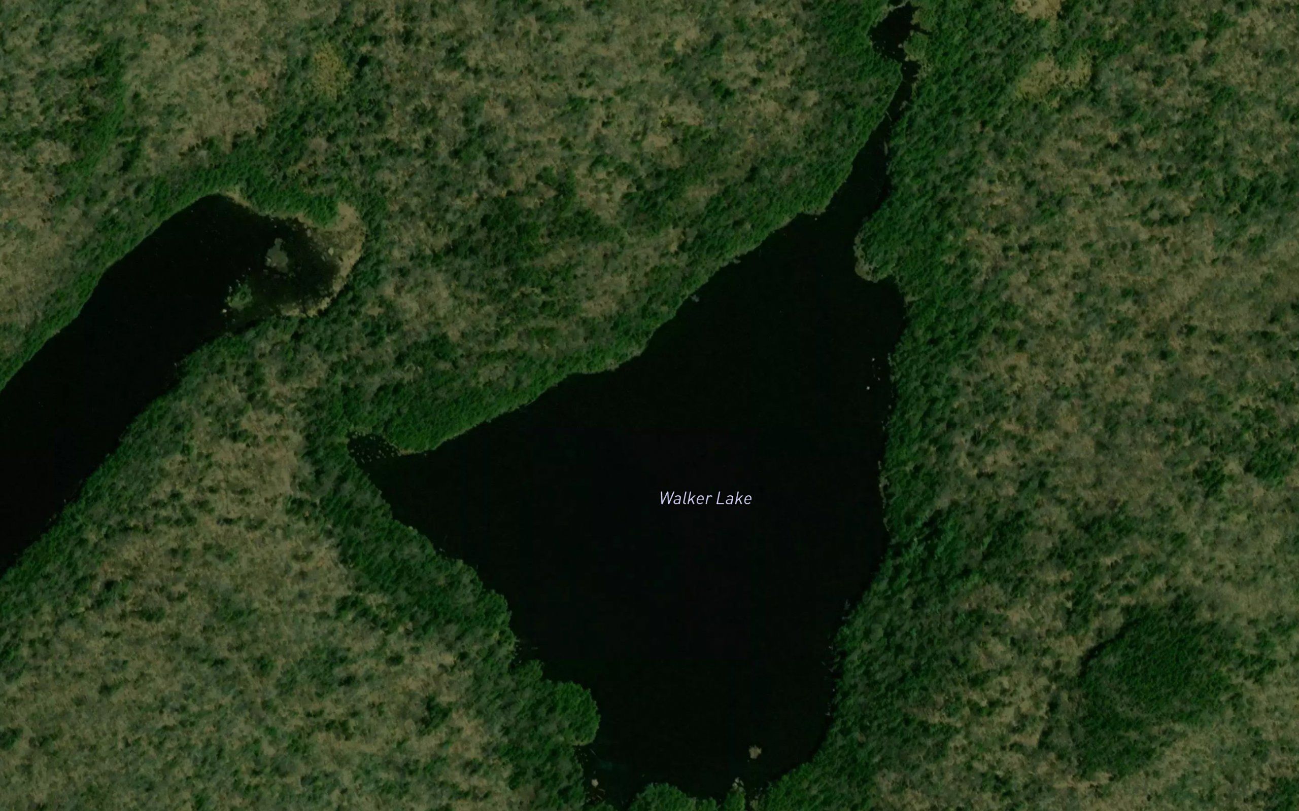 Walker Lake