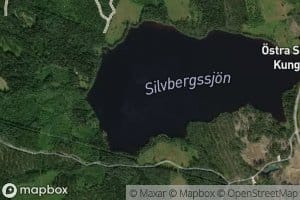 Silvbergssjon