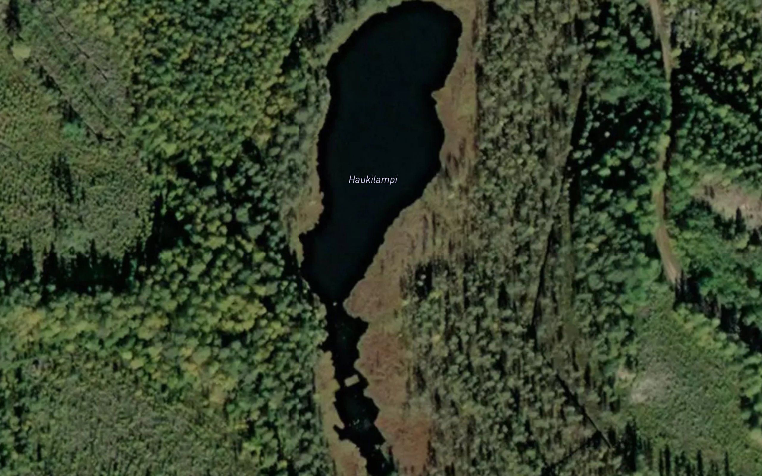 Haukilampi