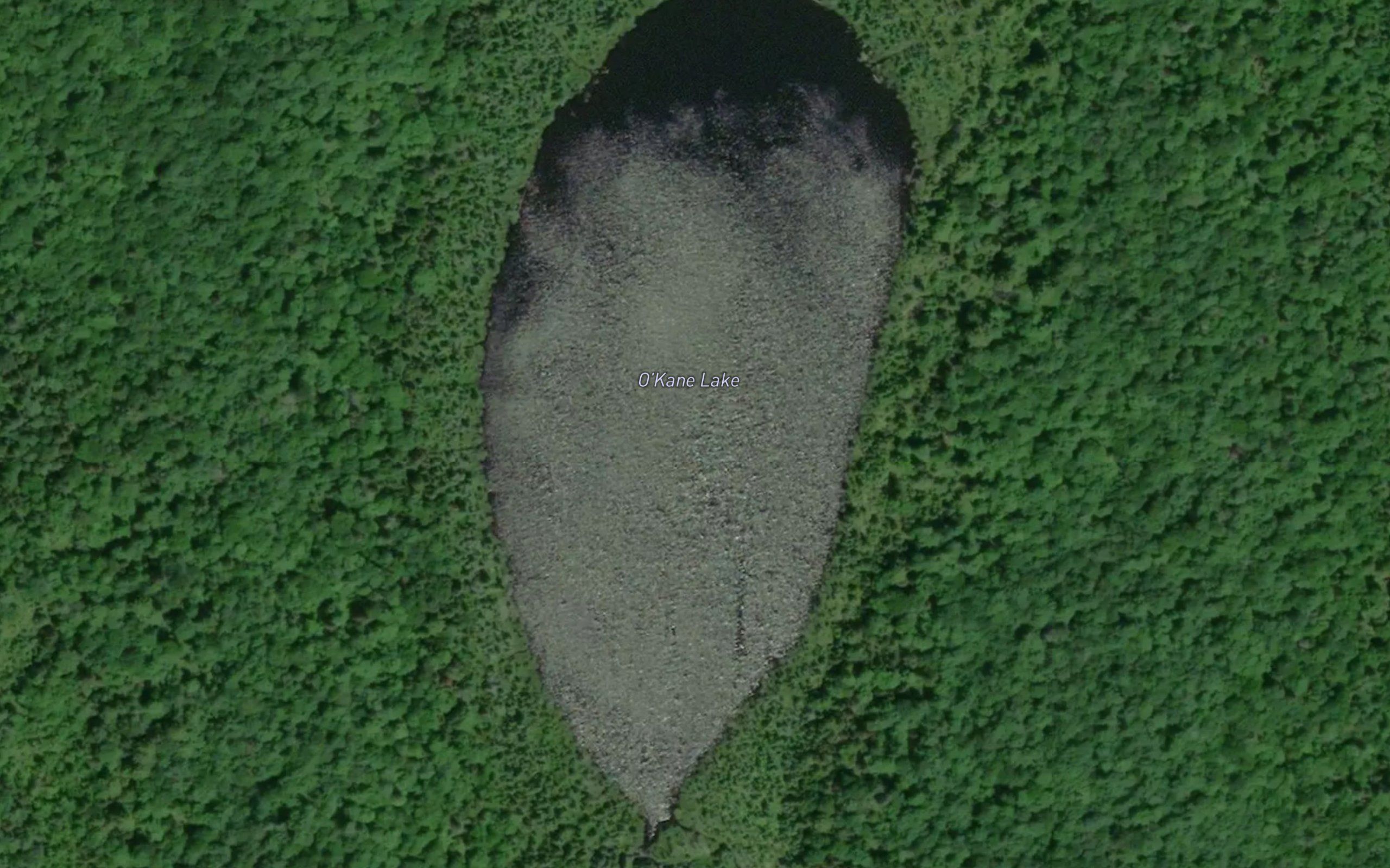O'Kane Lake