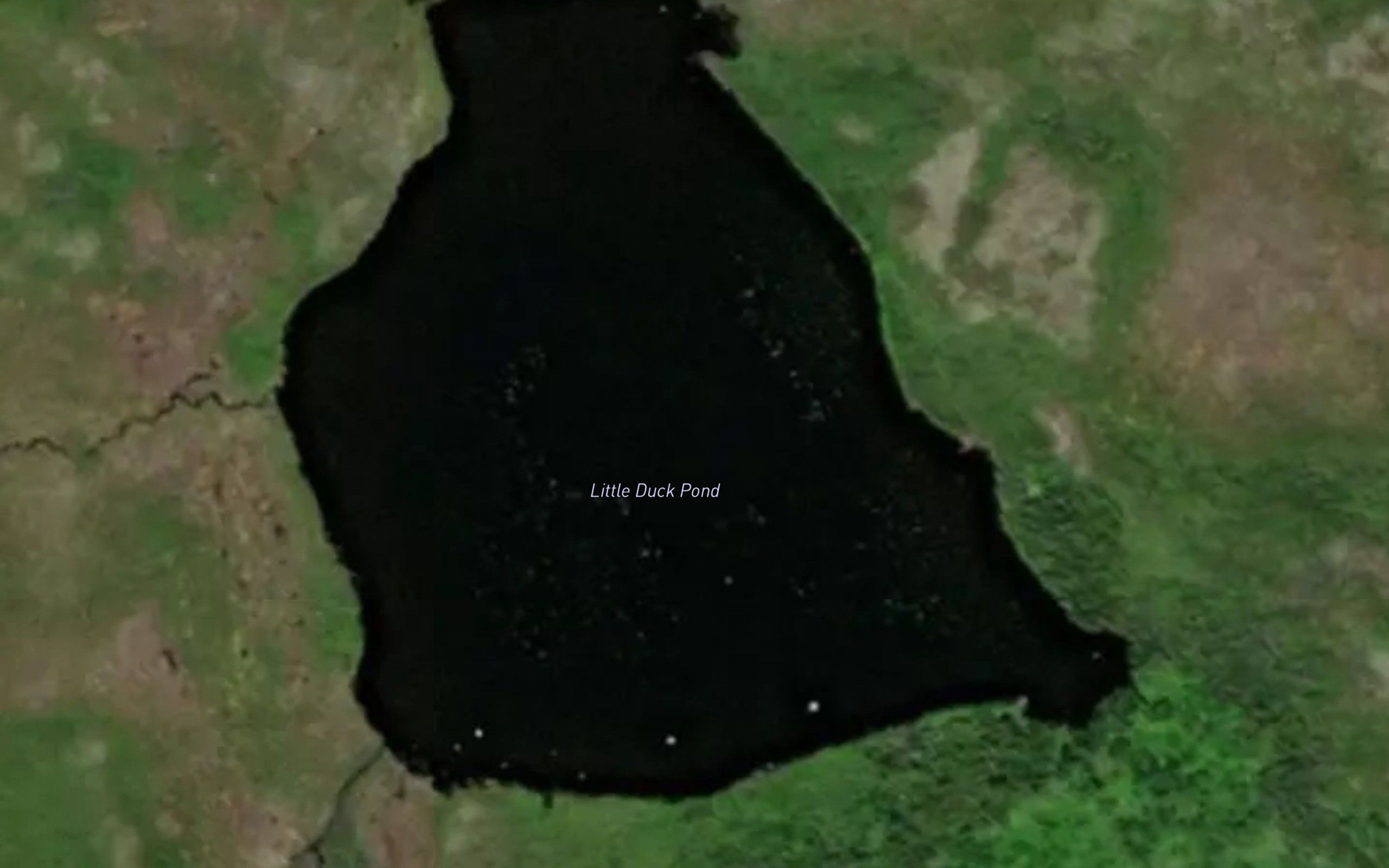 Little Duck Pond