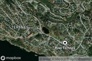 Tertnestjorna