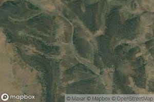 Rim Spring
