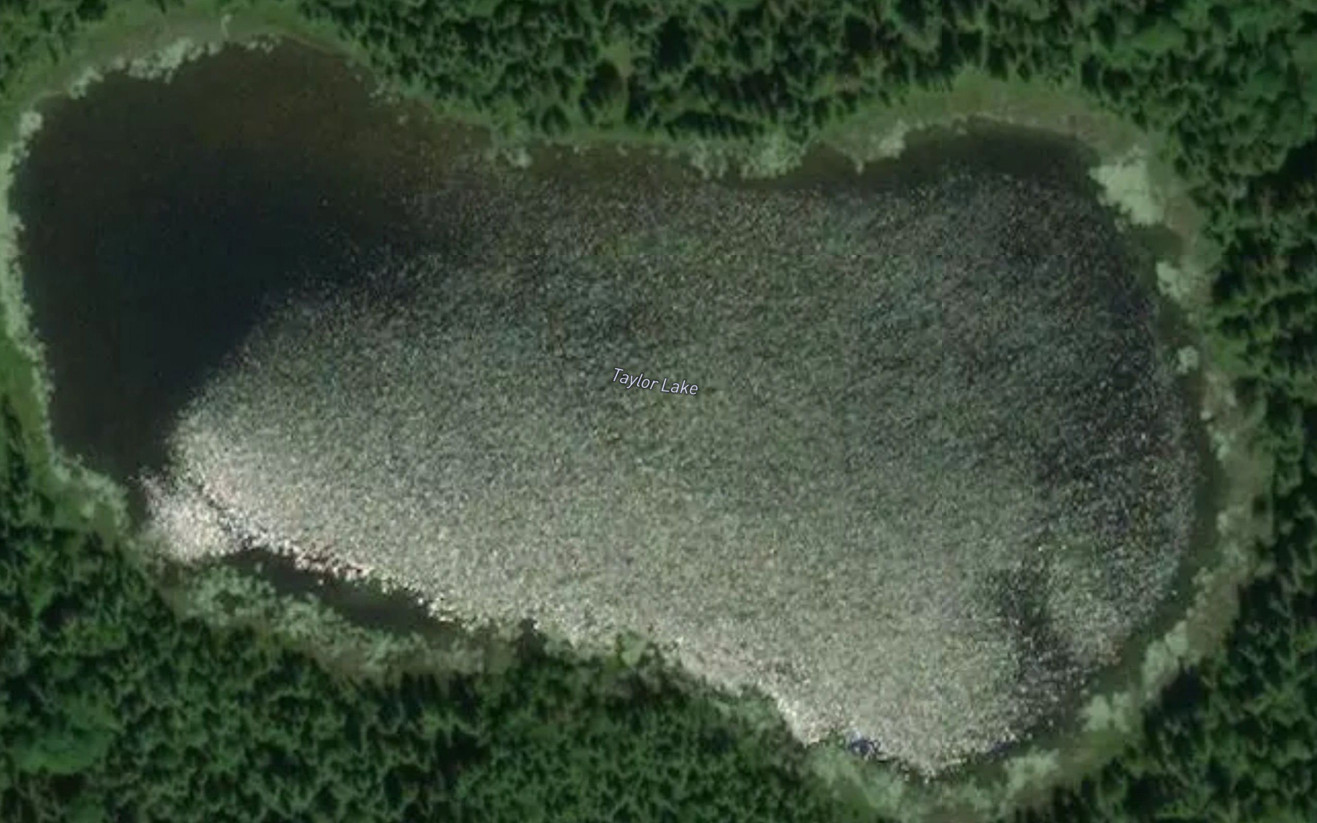 Taylor Lake