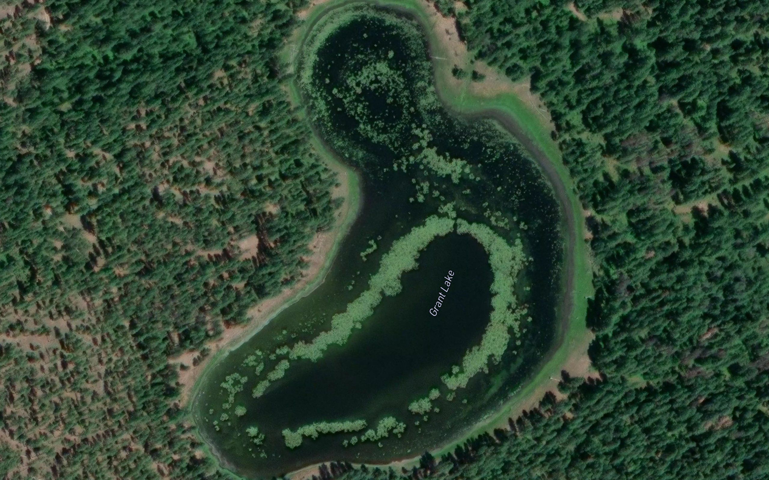 Grant Lake