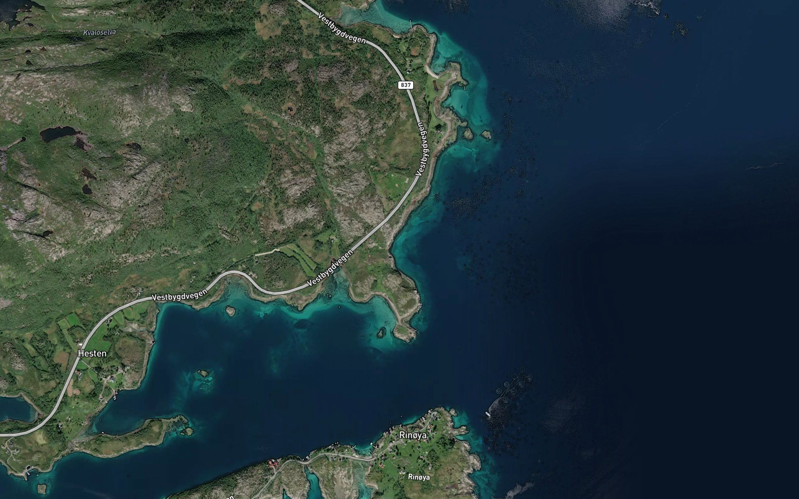 Kattnesbukta