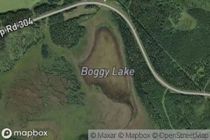 Boggy Lake