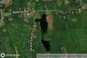 Adams Pond