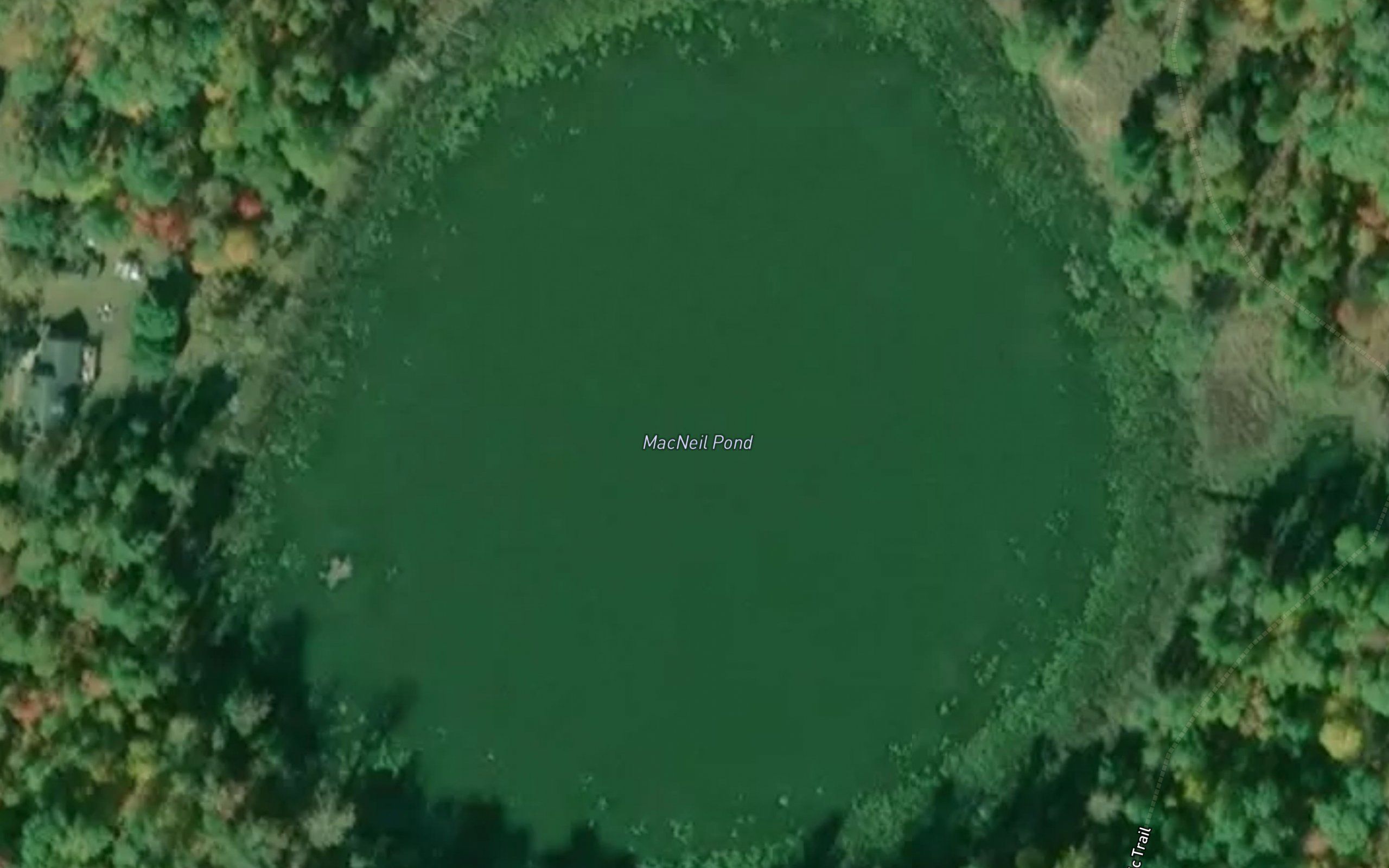 MacNeil Pond