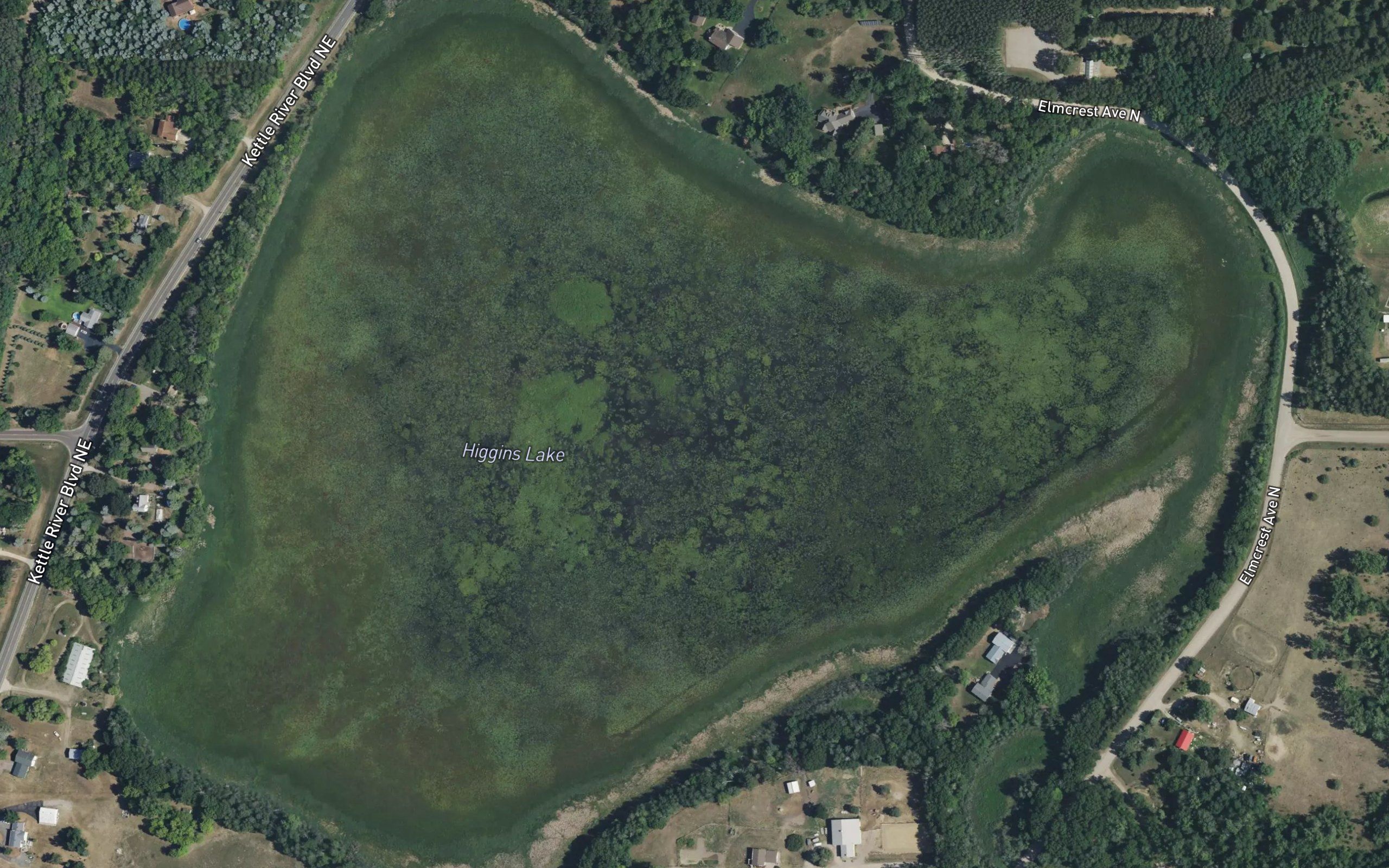 Higgins Lake