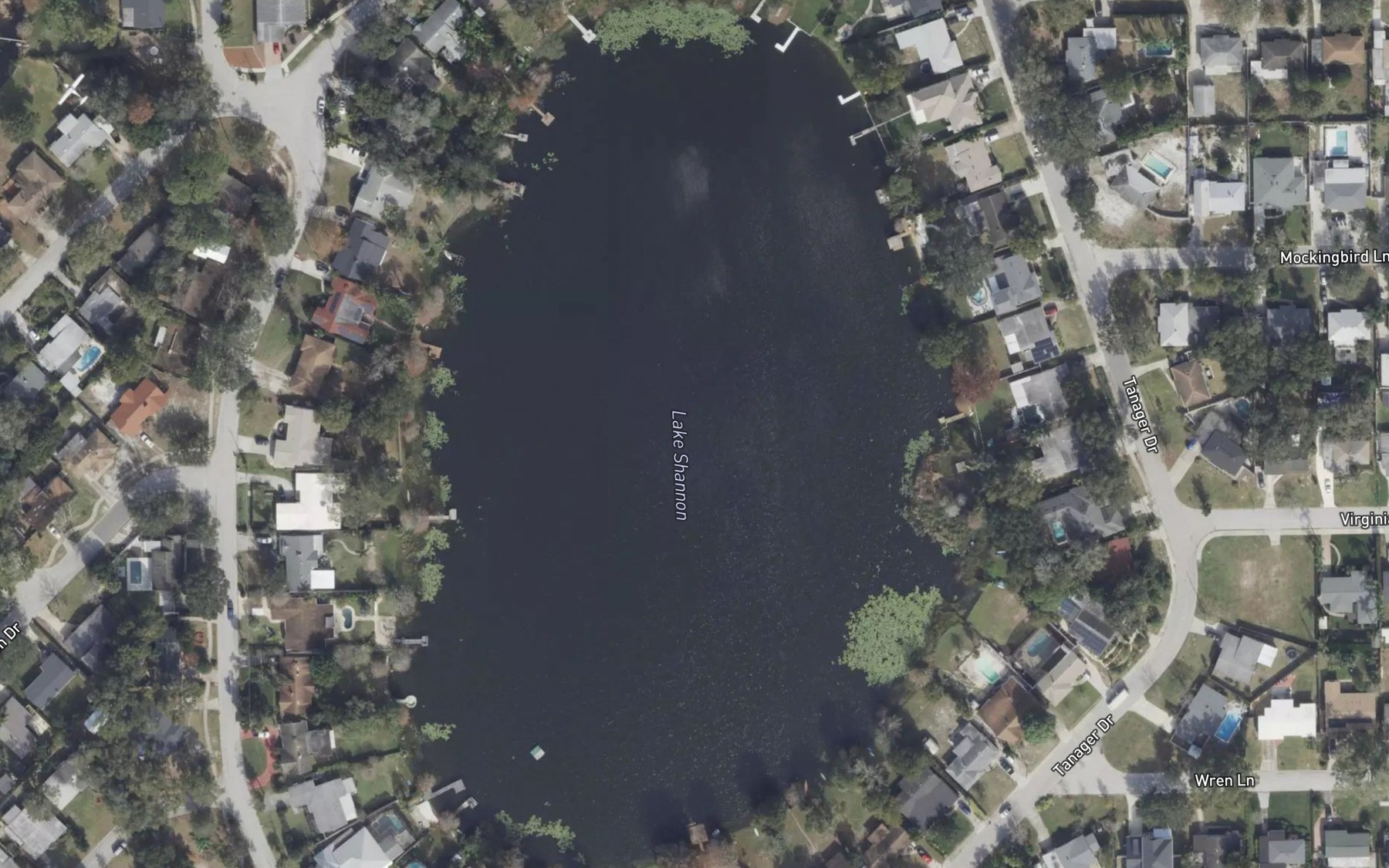 Satellite map of the Lake Shannon
