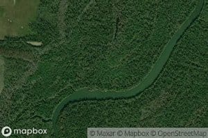 Raccoon Slough