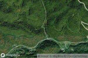 Left Fork Koyle Branch