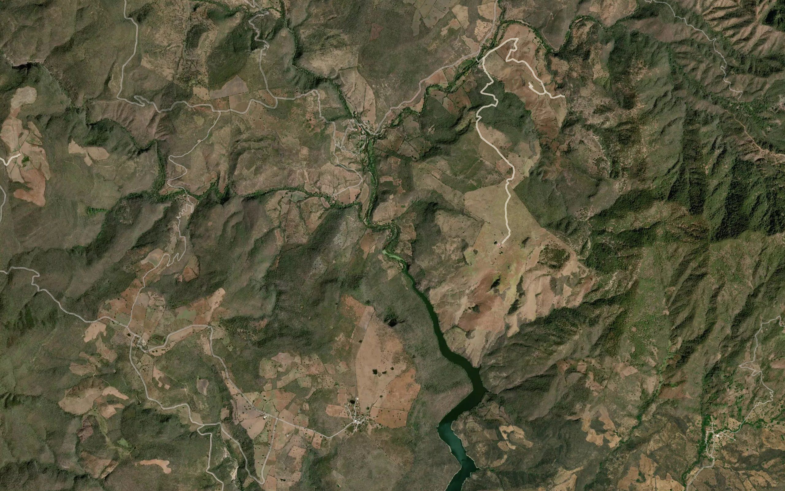 Tamazula