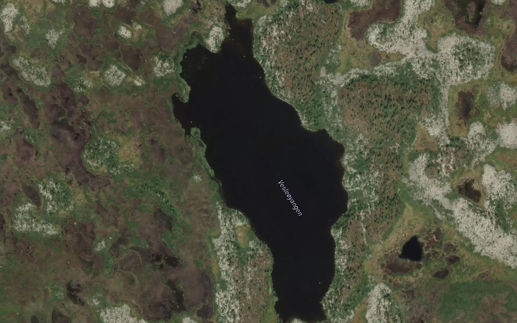 Satellite map of the Vesleoyangen