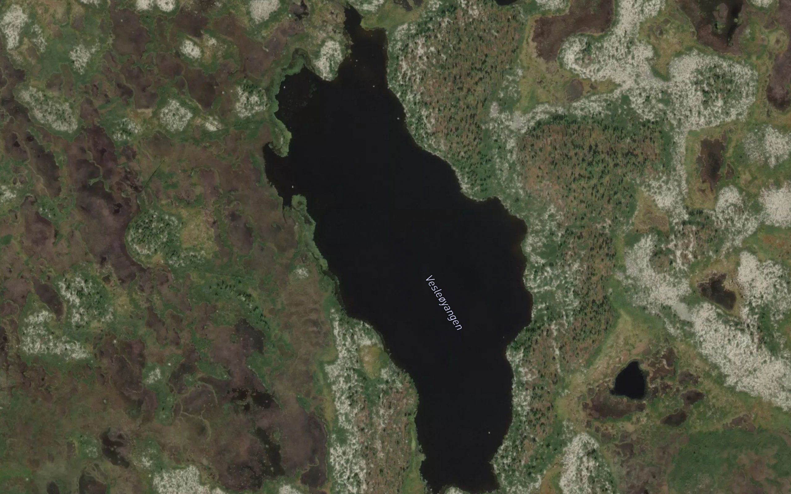 Vesleoyangen