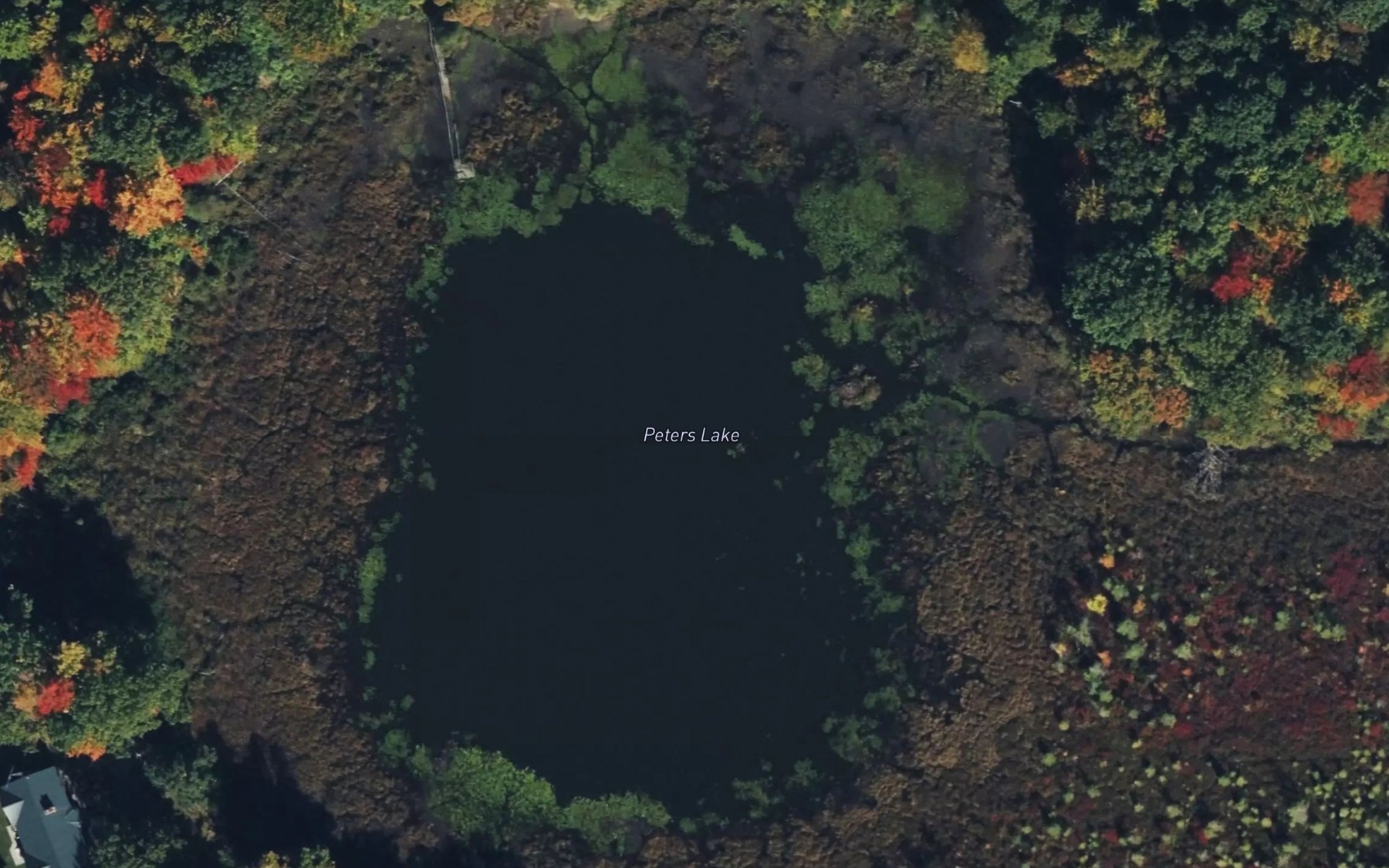 Satellite map of the Peters Lake