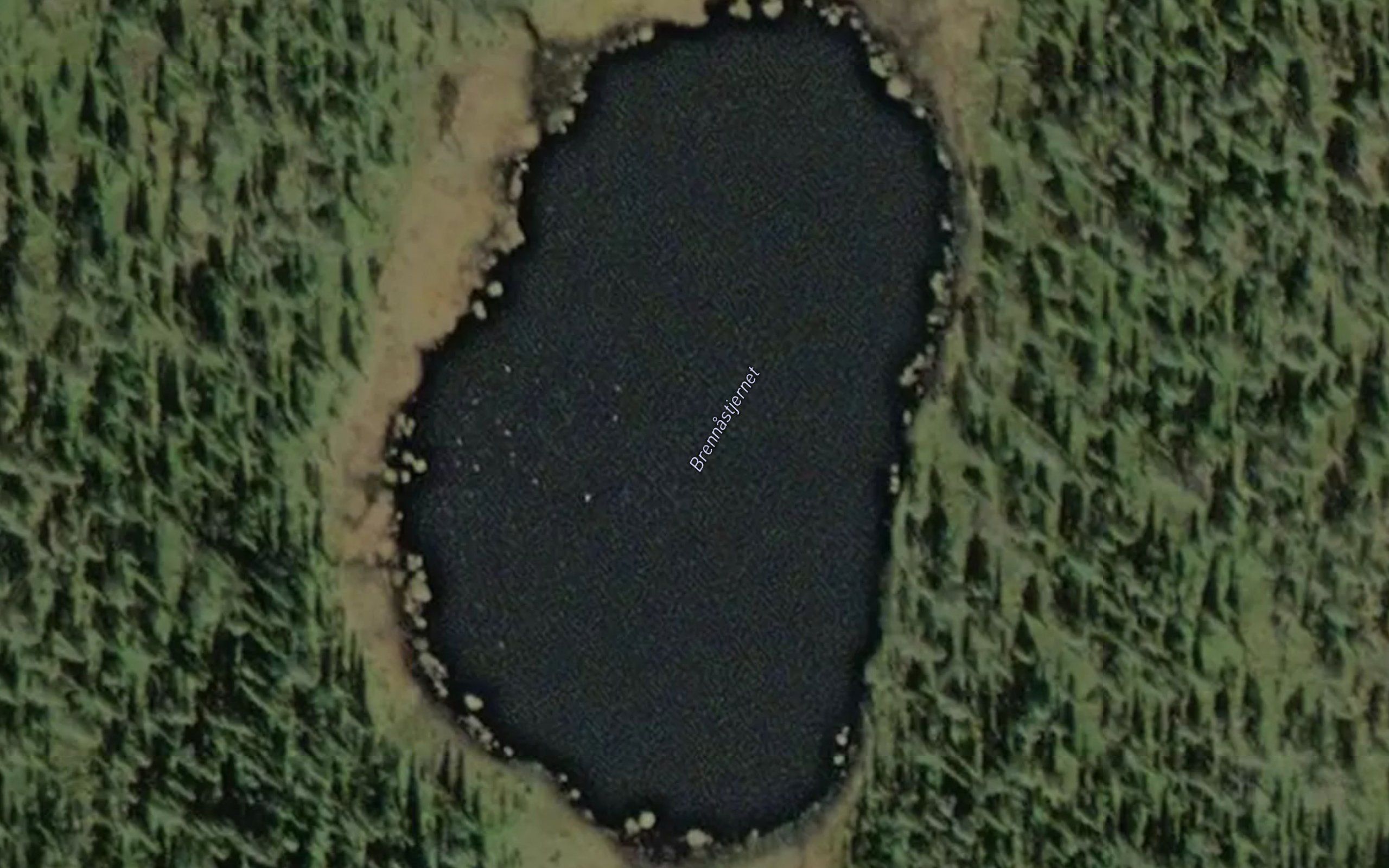 Brennastjernet