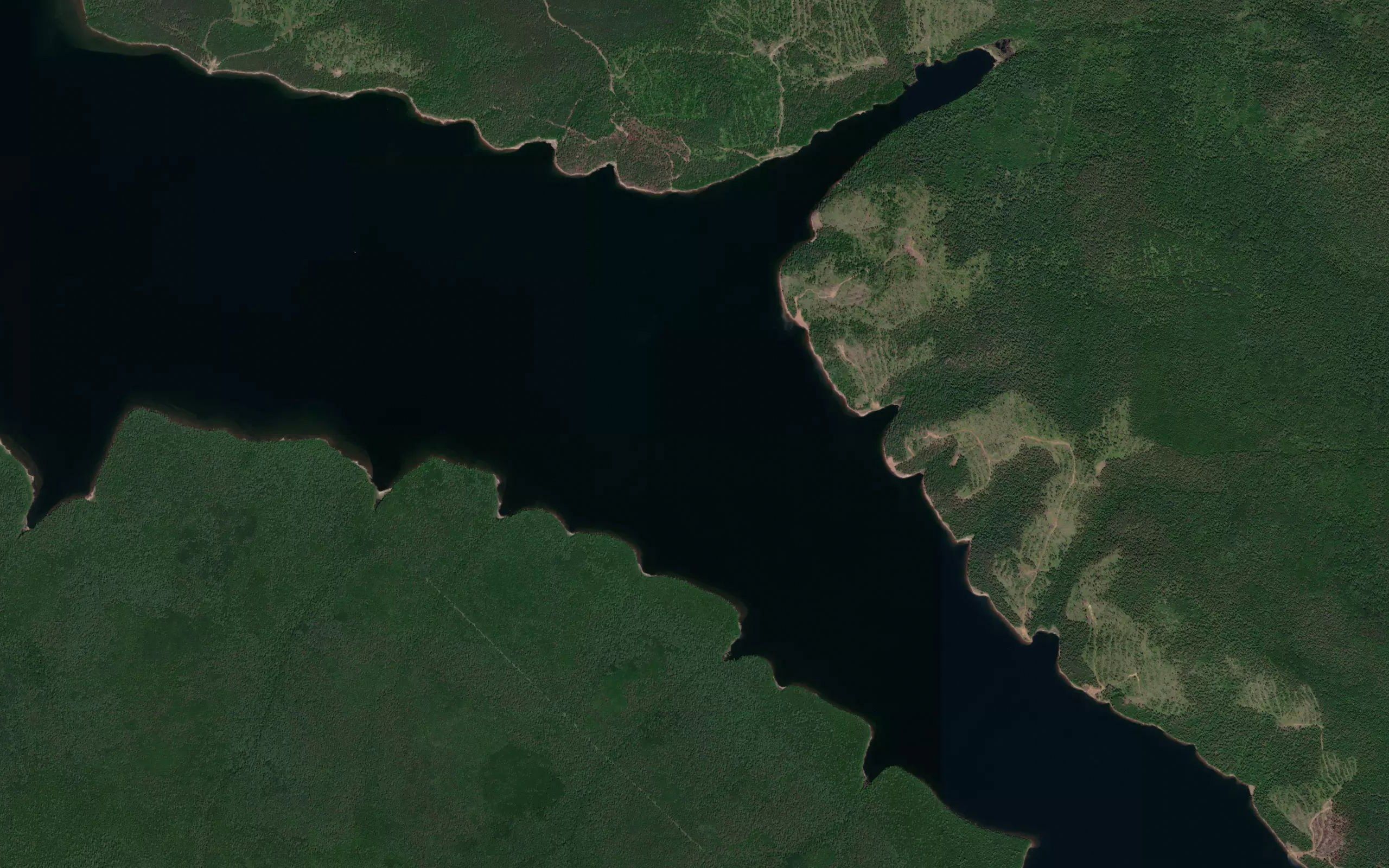 Zaliv Davydovskiy