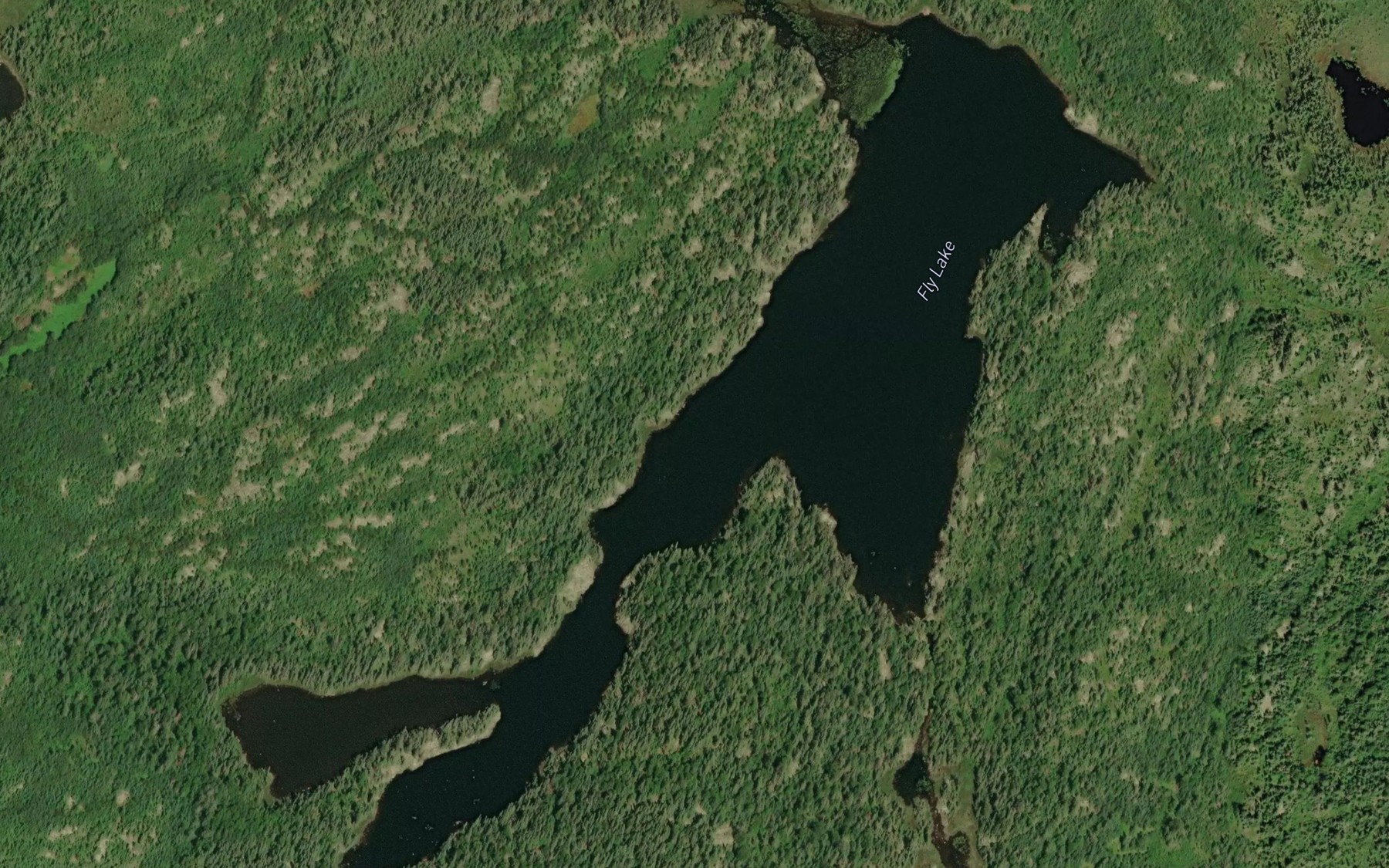 Satellite map of the Fly Lake