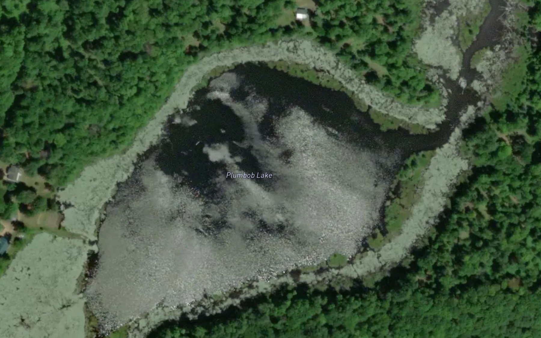 Satellite map of the Plumbob Lake