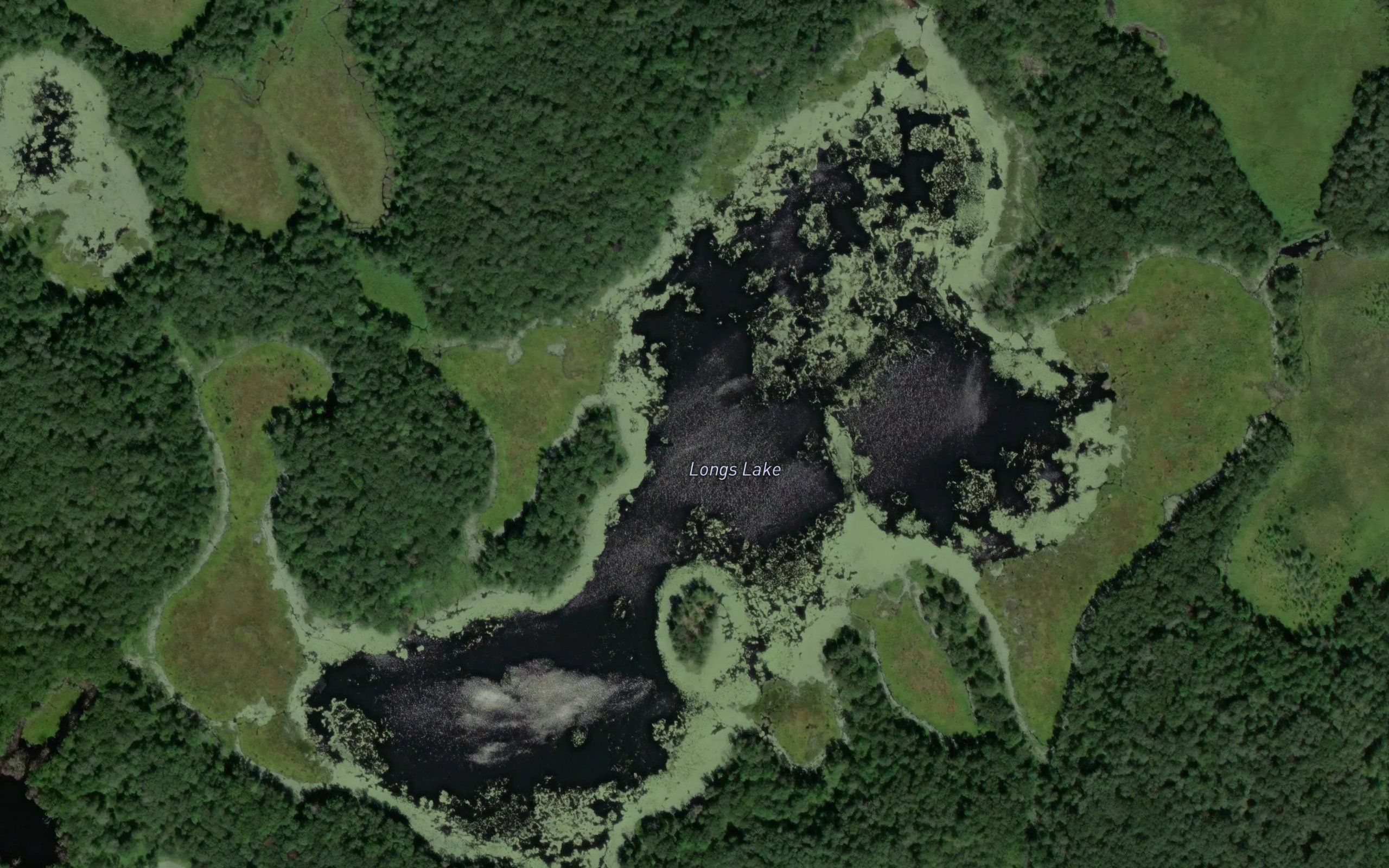 Longs Lake