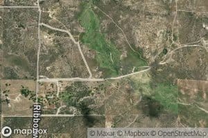 Tule Creek