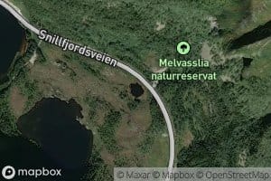 Gortjorna