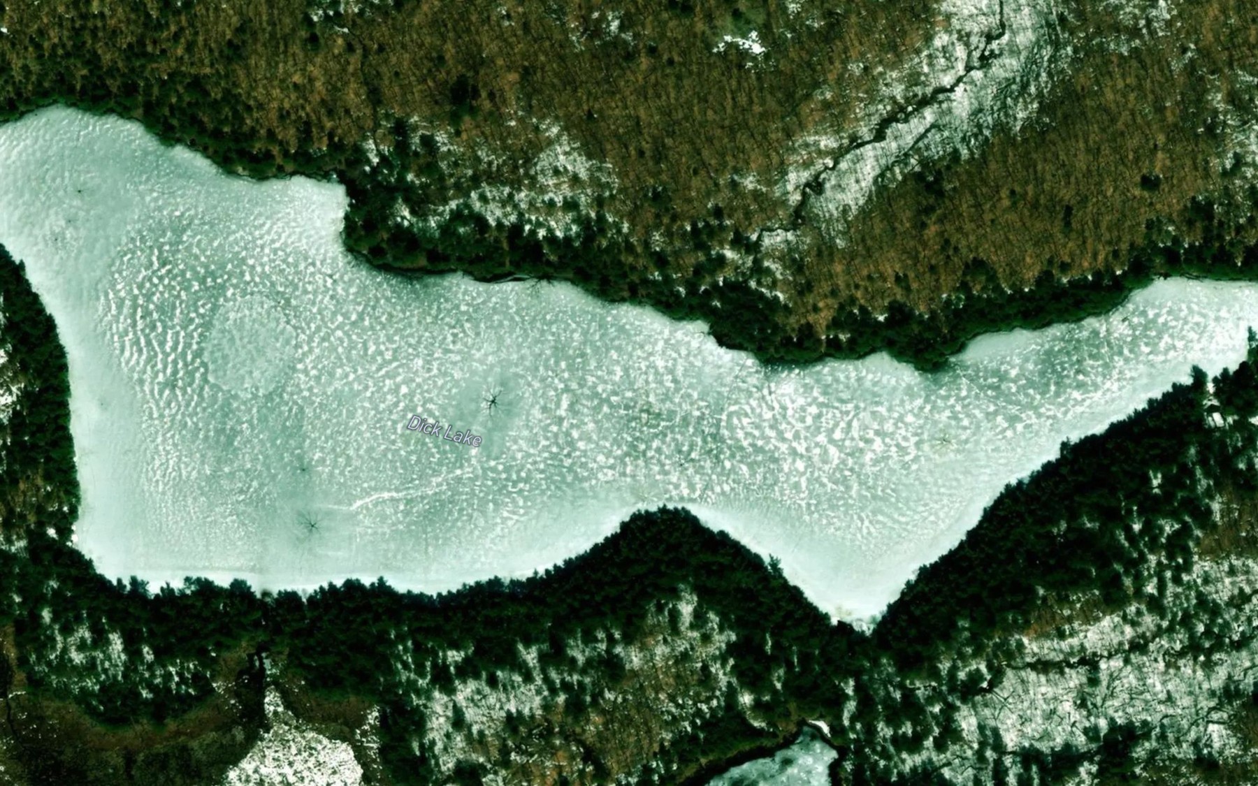 Satellite map of the Dick Lake