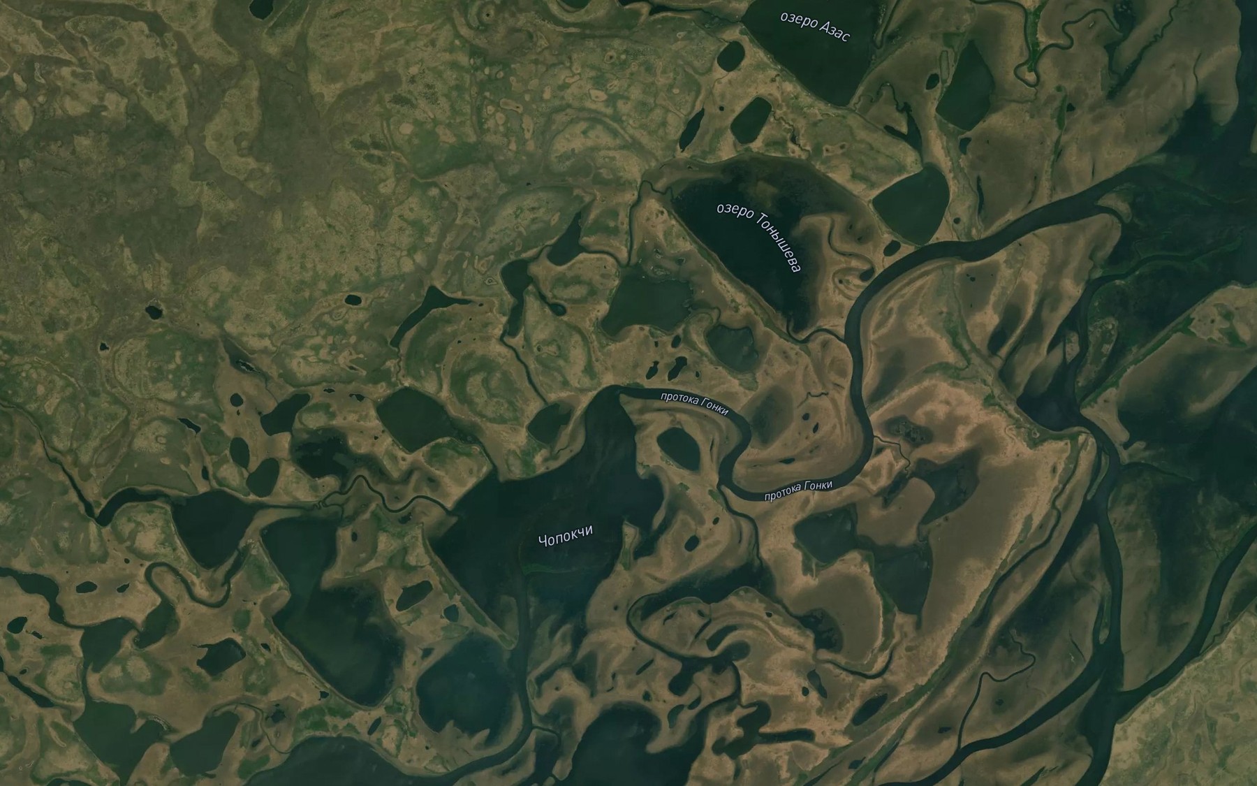 Satellite map of the Protoka Gonki