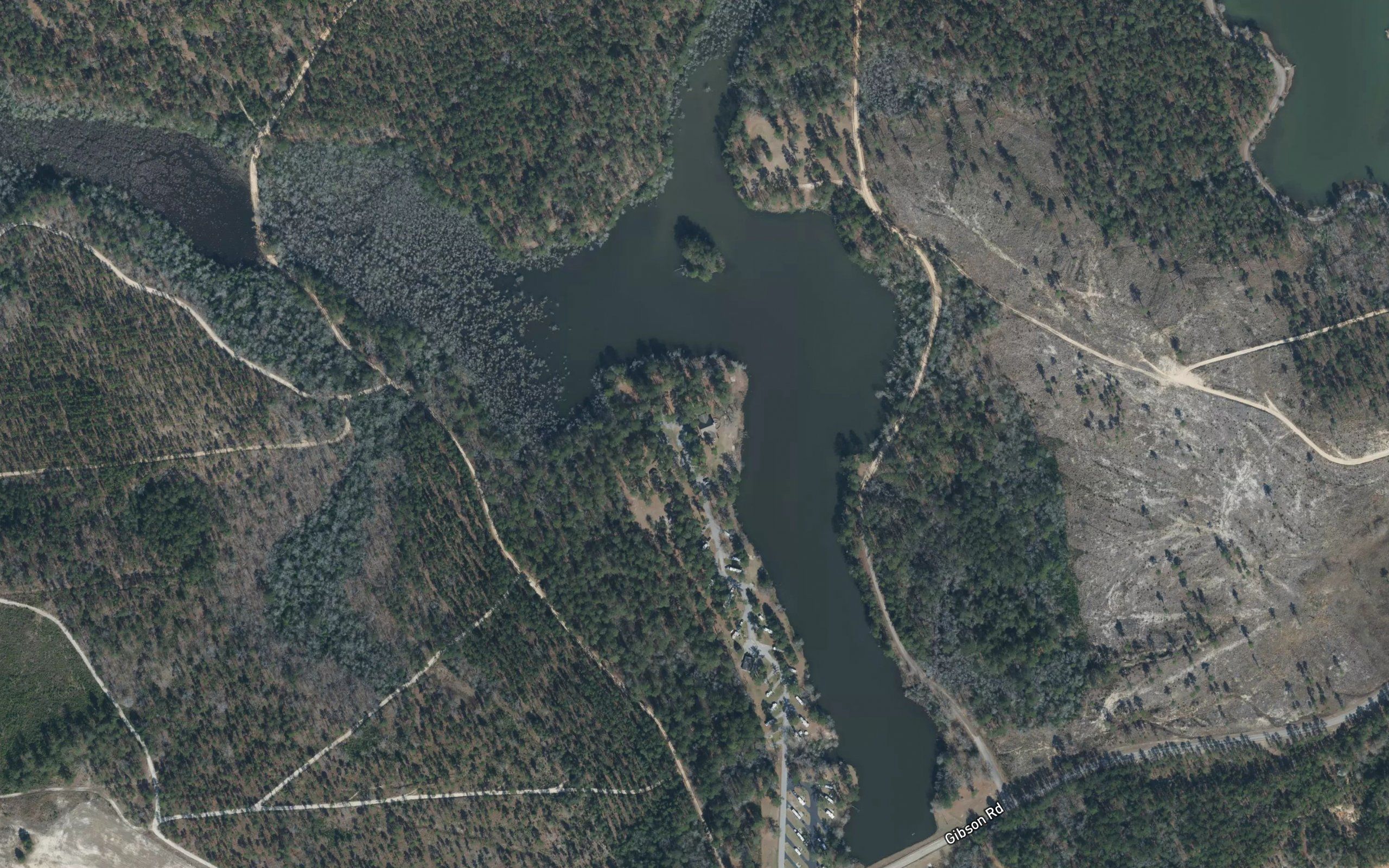 Leitner Pond