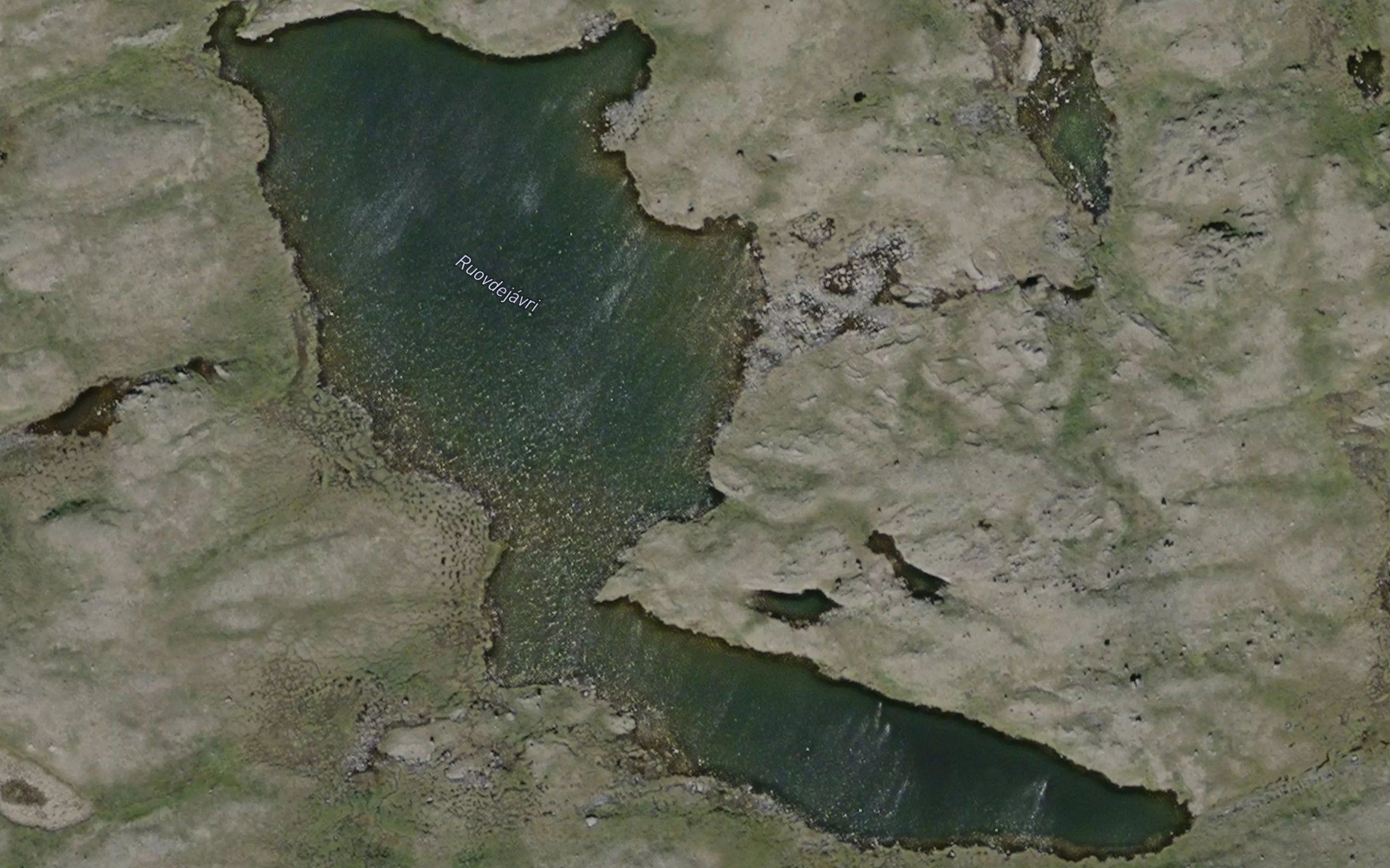 Ruovdejavri