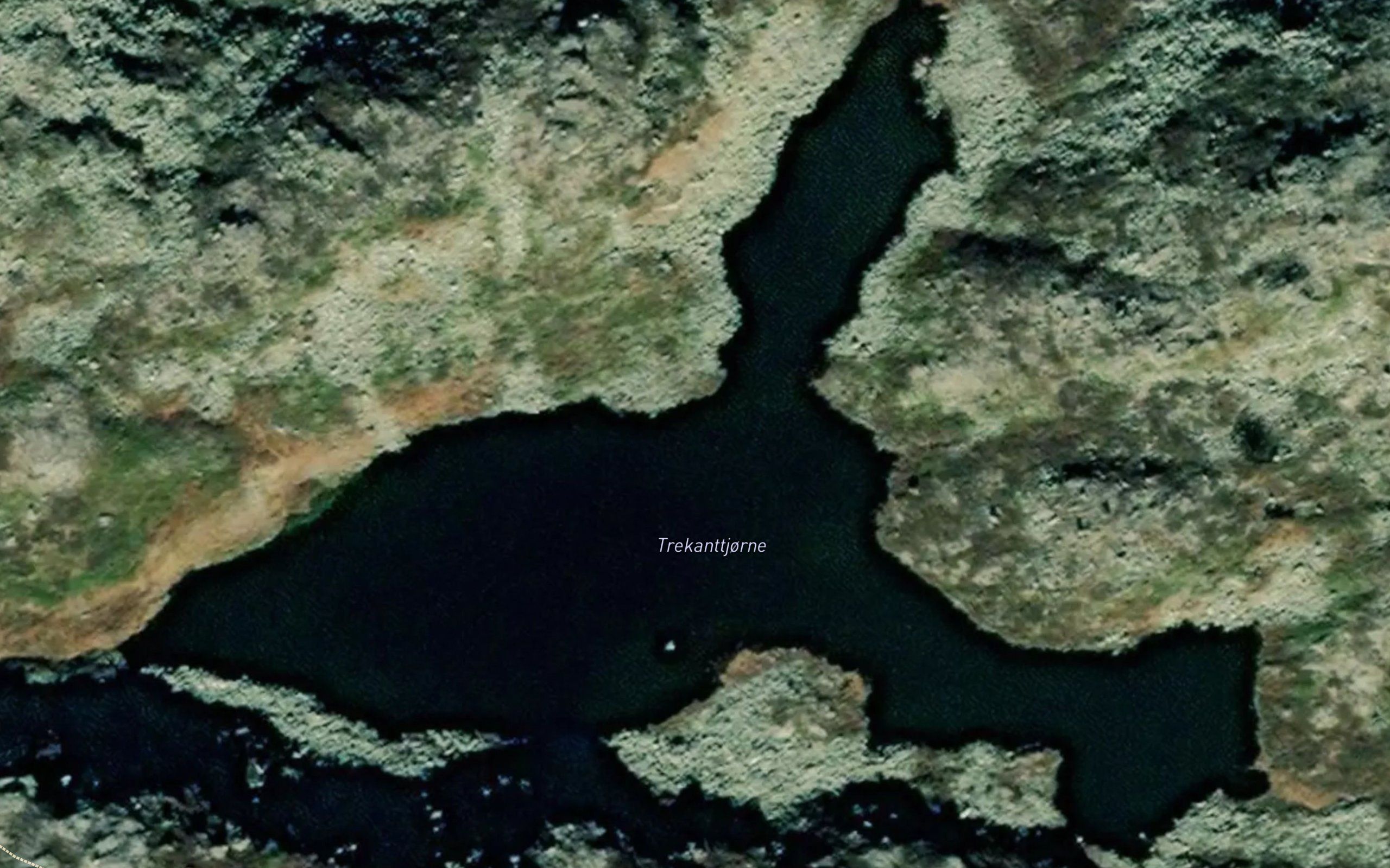 Trekanttjorne